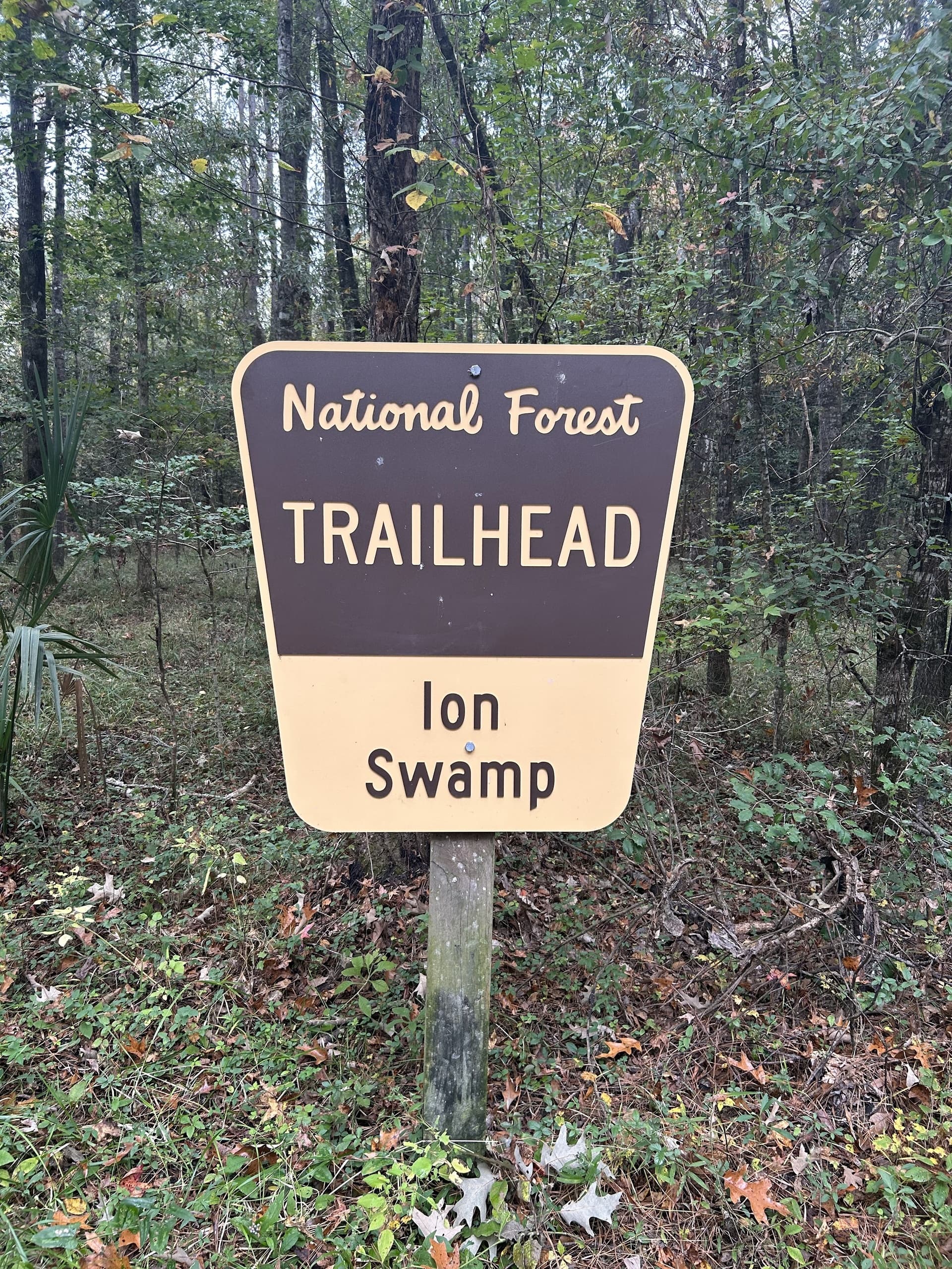 Wildlife & Nature Hike at Ion Swamp with Nature Adventures Outfitters