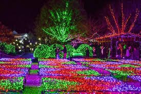Festival lights illuminating outdoor garden paths at night