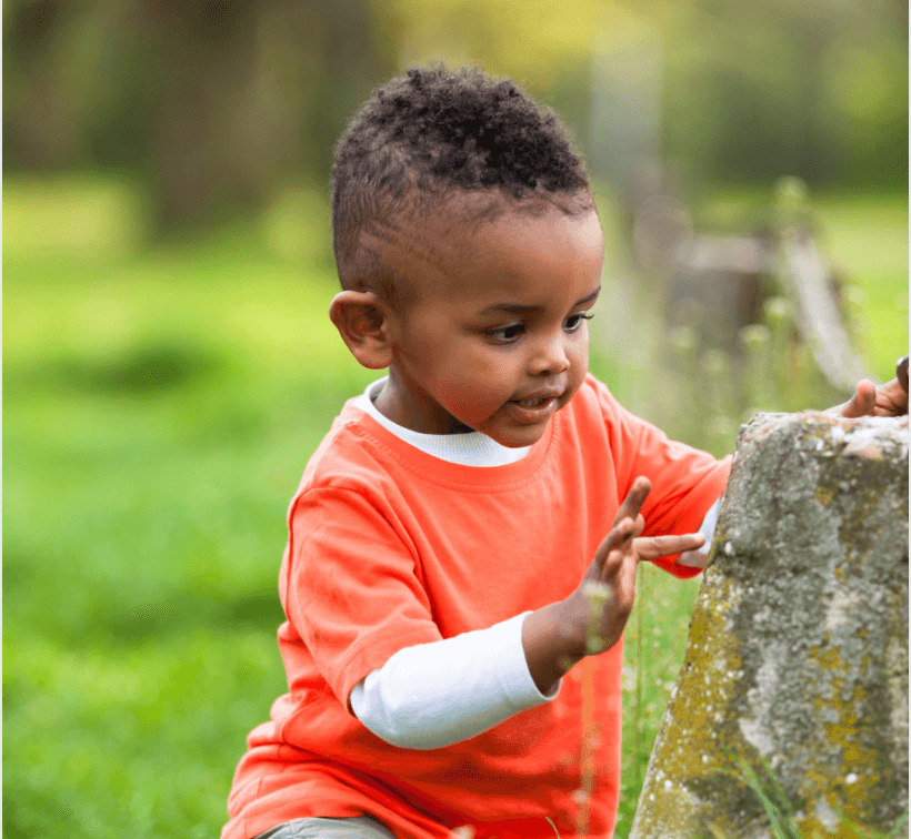 Nature & Literacy Program at Little Wonders Environmental Learning Center