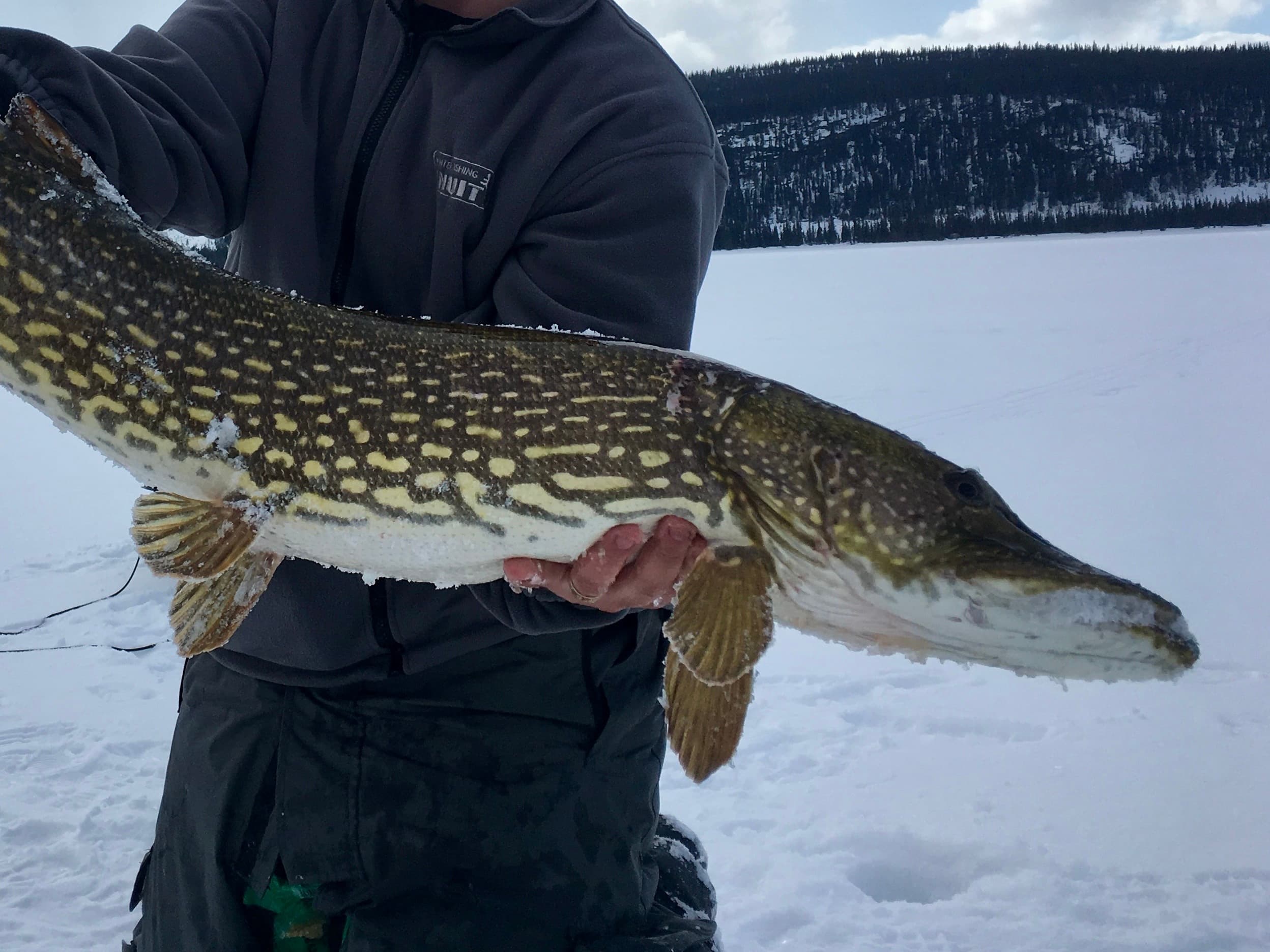 Winter Pike Fishing Safari by ArcticGuides in Ivalo, Finland