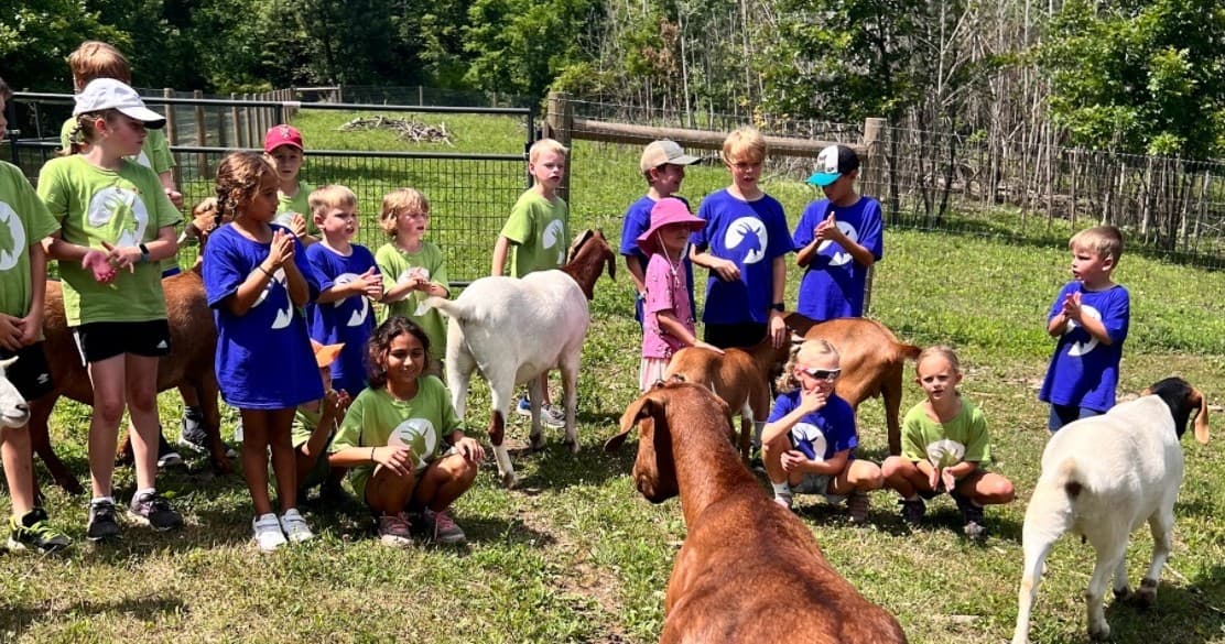 Children and helpers with goats on grassy farm field outing