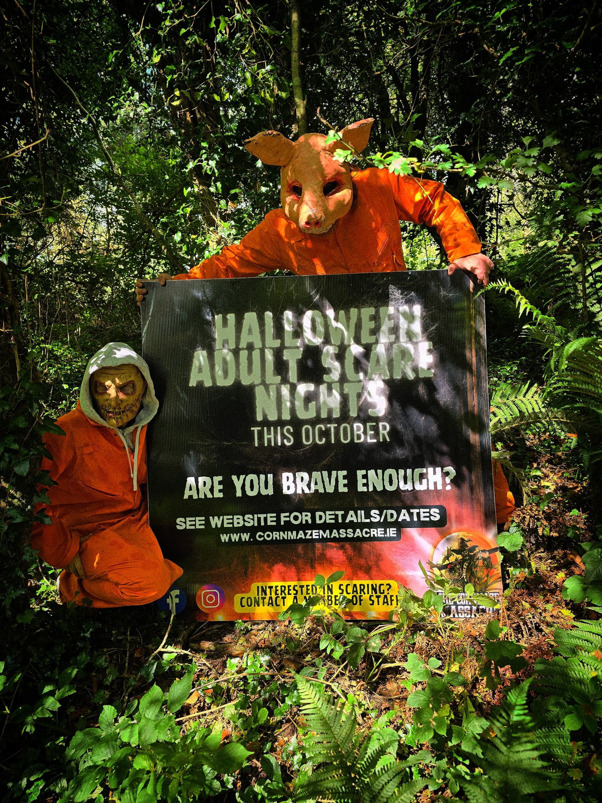 Wexford’s Ultimate Cornmaze Scare at Secret Valley Wildlife Park