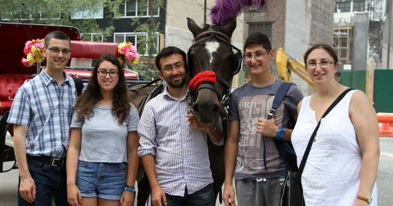 Land Adventures: Central Park Carriage Rides — Scenic NYC Experience