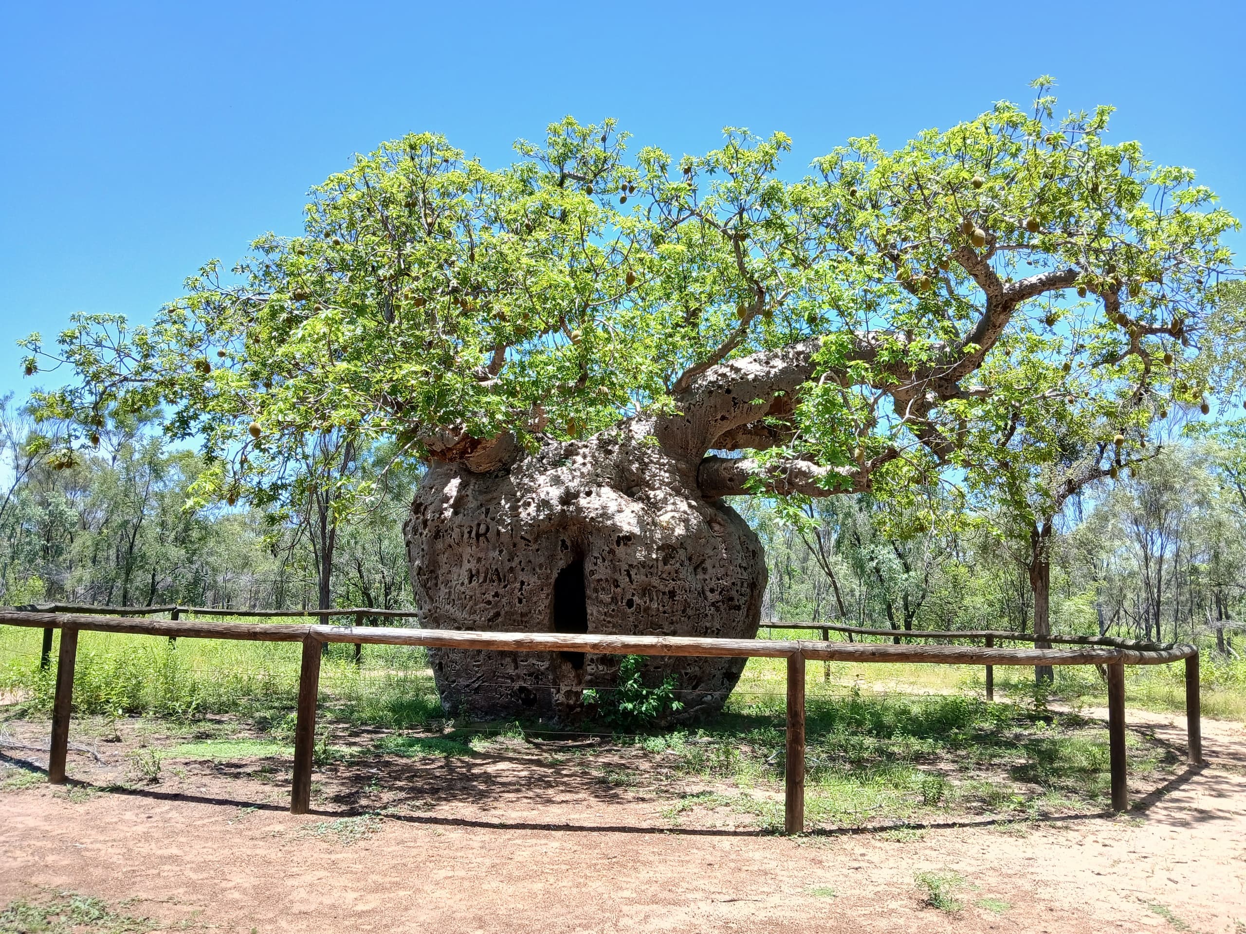 9-Day Gibb River Road Explorer: Private Kimberley Tour from Broome photo 2