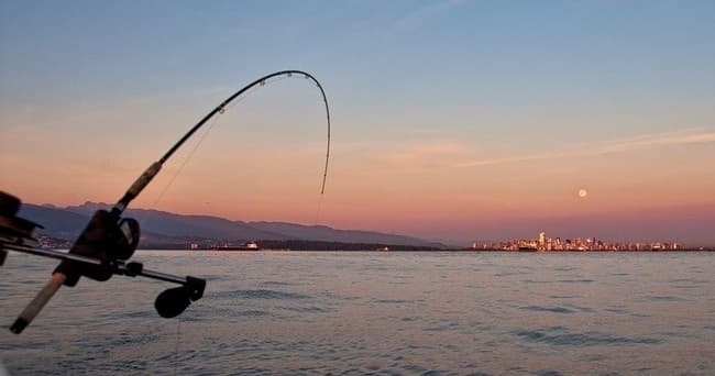 Inshore & Nearshore Fishing with Strickly Fishing Charters at Pensacola Beach