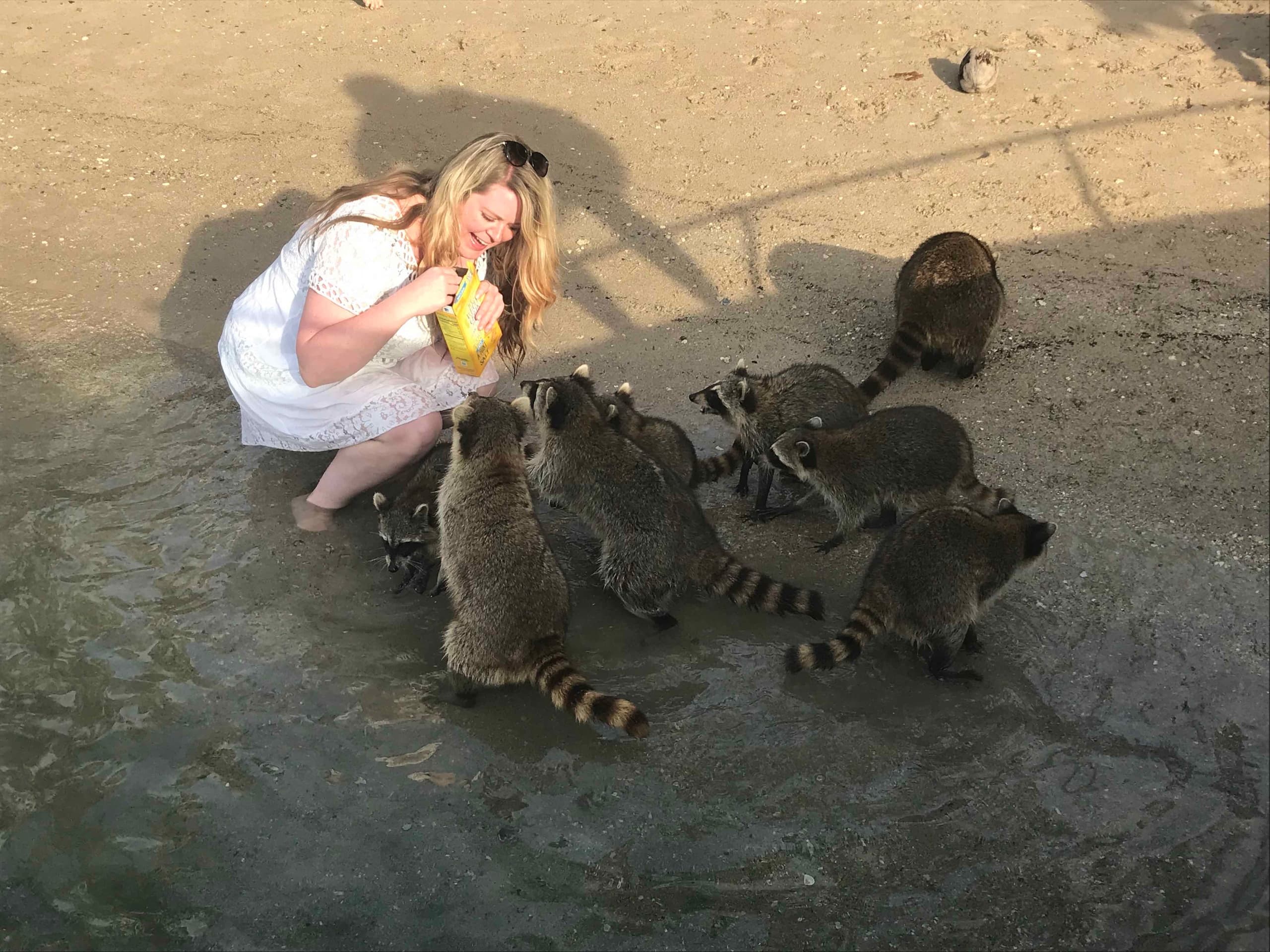 Raccoon Island Tour by Miami Ocean Tours in North Miami Beach