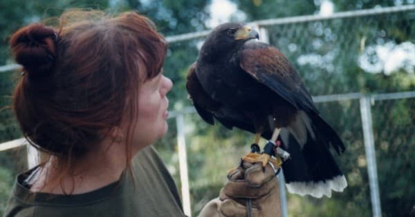 Nature Trail Birdwatching Adventure in Live Oak FL