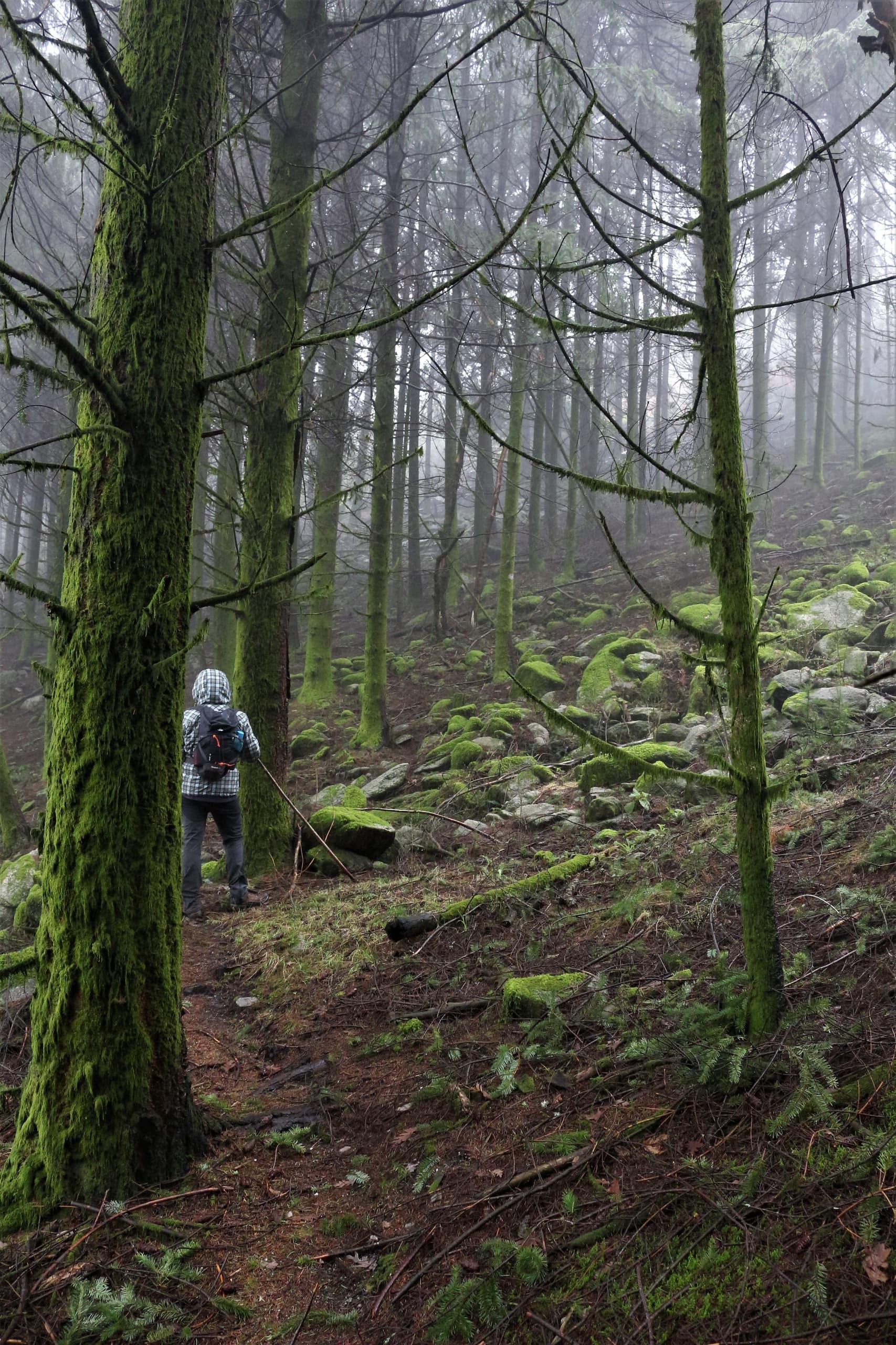 Hiking the Trilho do Bosque with Rios & Trilhos Aventura in Portugal