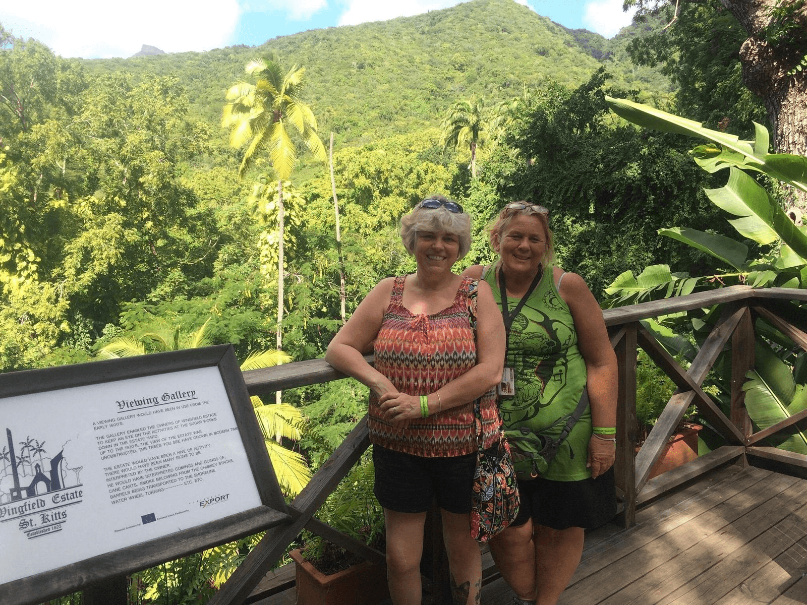 Alexander Hamilton's Nevis: Plantation History and Friars Bay Beach Tour