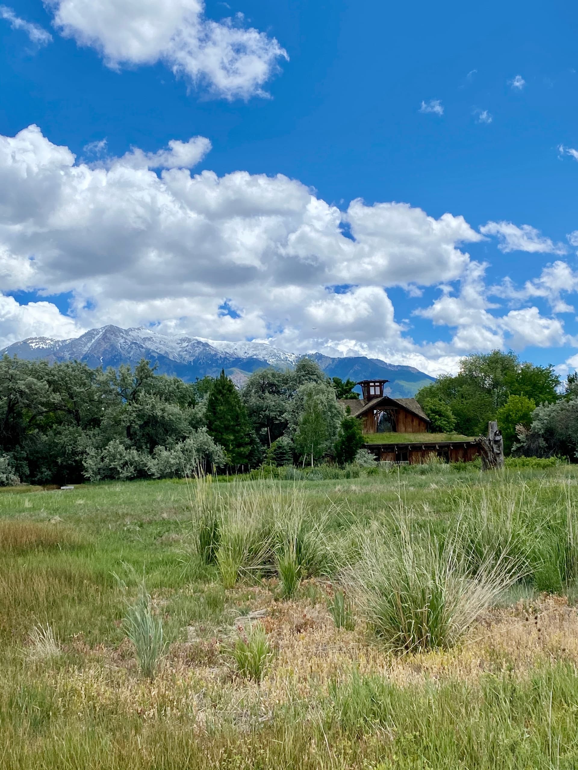 Forest Bathing at Ogden Nature Center, Utah