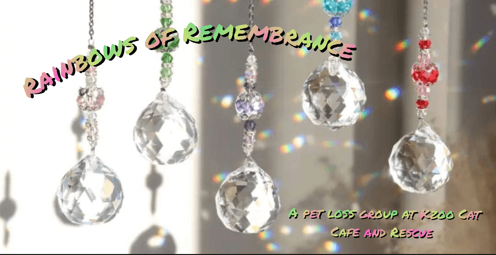 Memorial crystal suncatchers banner promoting cat cafe support