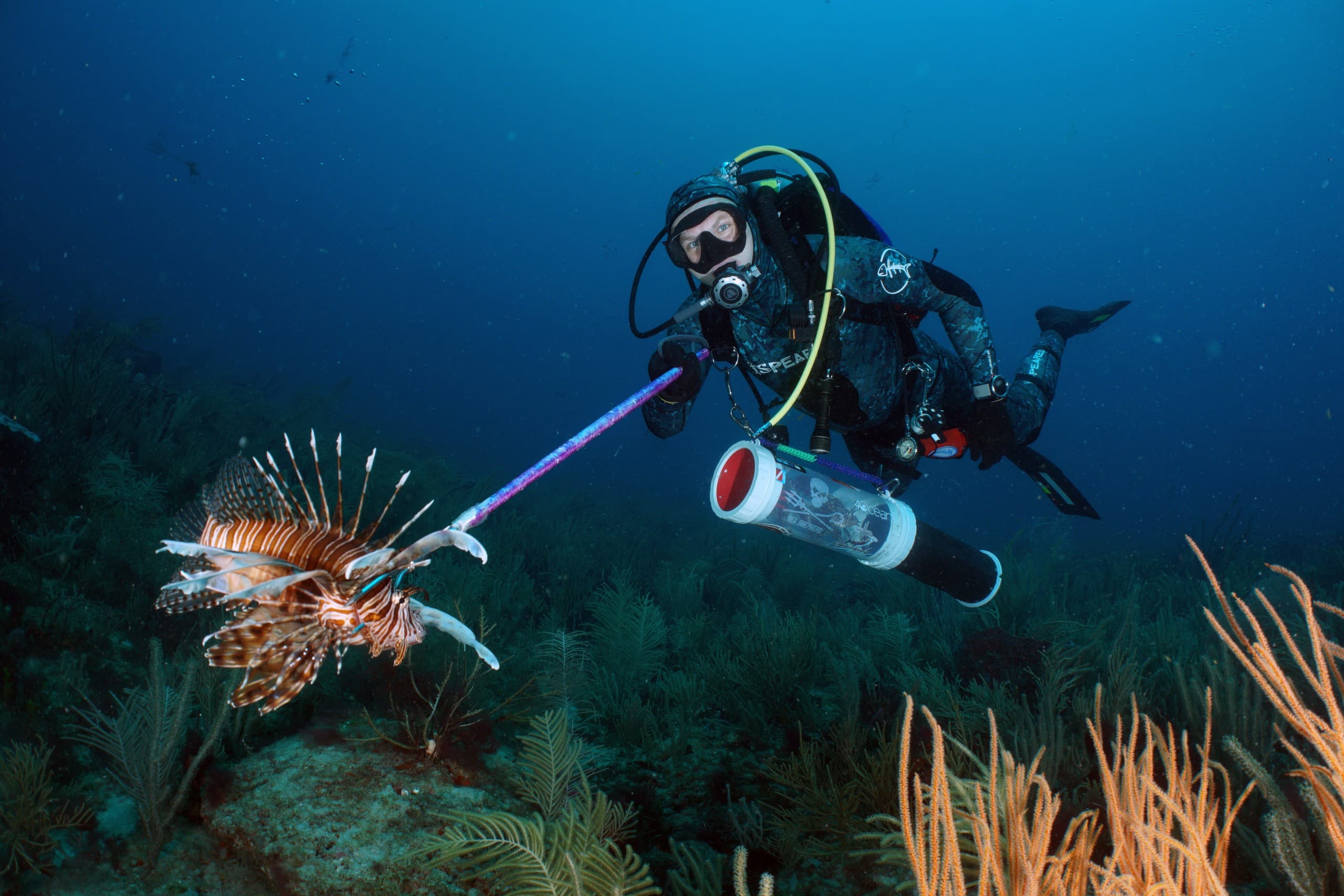 Lionfish Eradication Specialty: Two-Day Conservation Diver Course in Florida