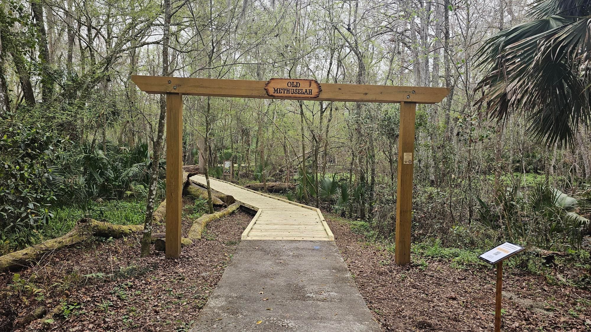 Guided Hiking Tour with De Leon Adventures in De Leon Springs
