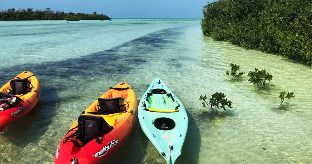 Kayak Adventures at Sugarloaf Marina in Florida's Keys