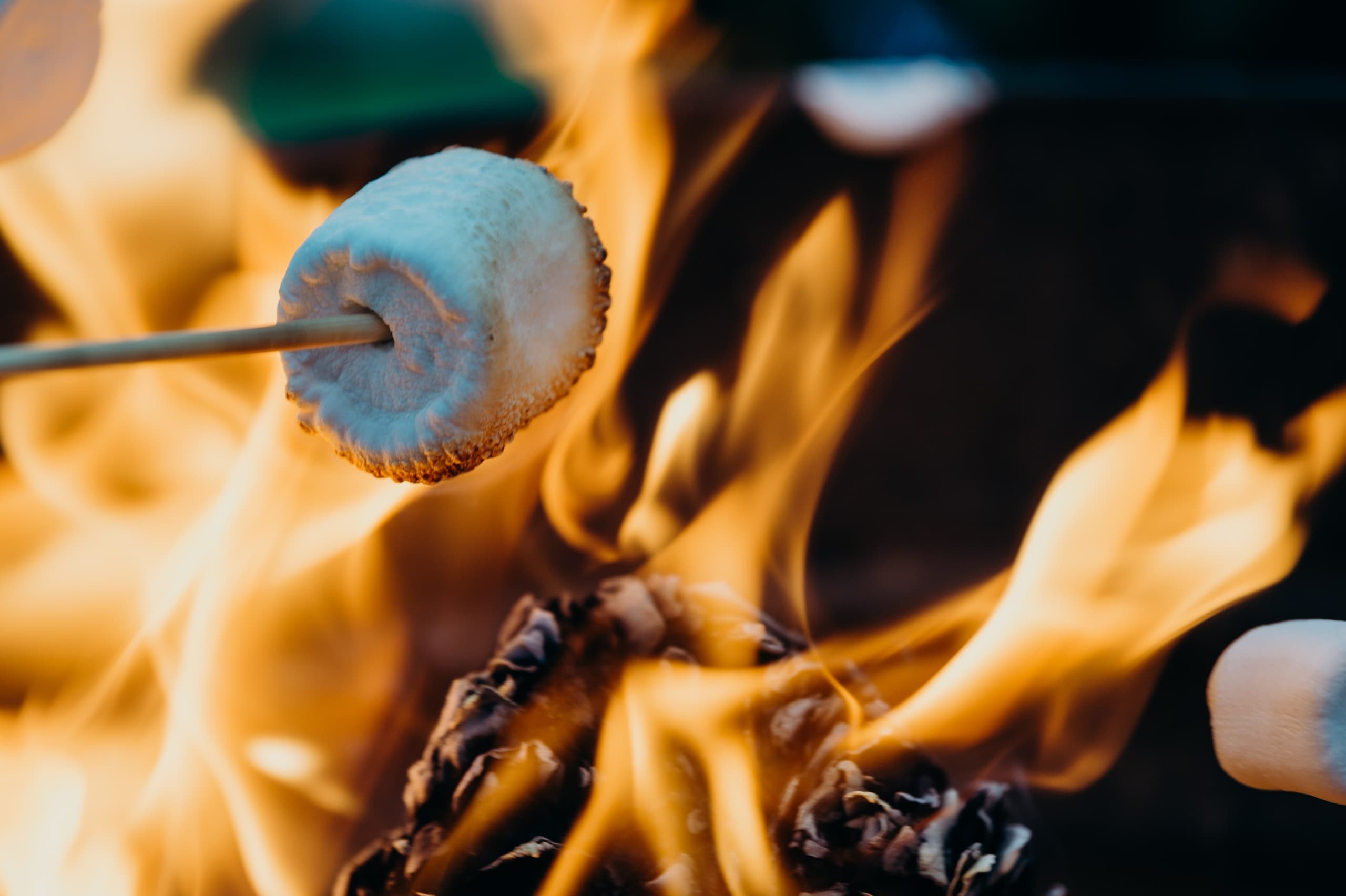 Roasting marshmallows over campfire during outdoor camping night