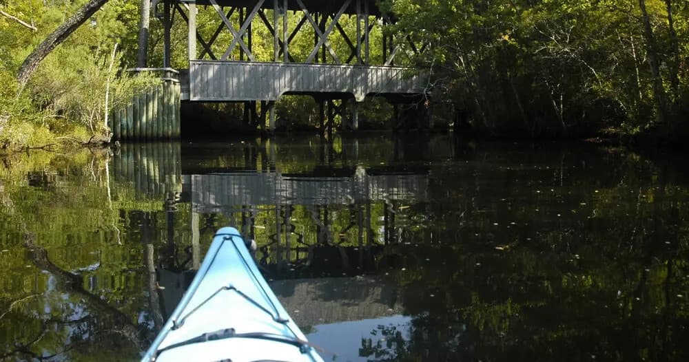 Night Kayak Tour on the Outer Banks — Bioluminescence & Full‑Moon Paddles