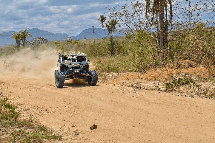 Black Bear UTV fleet