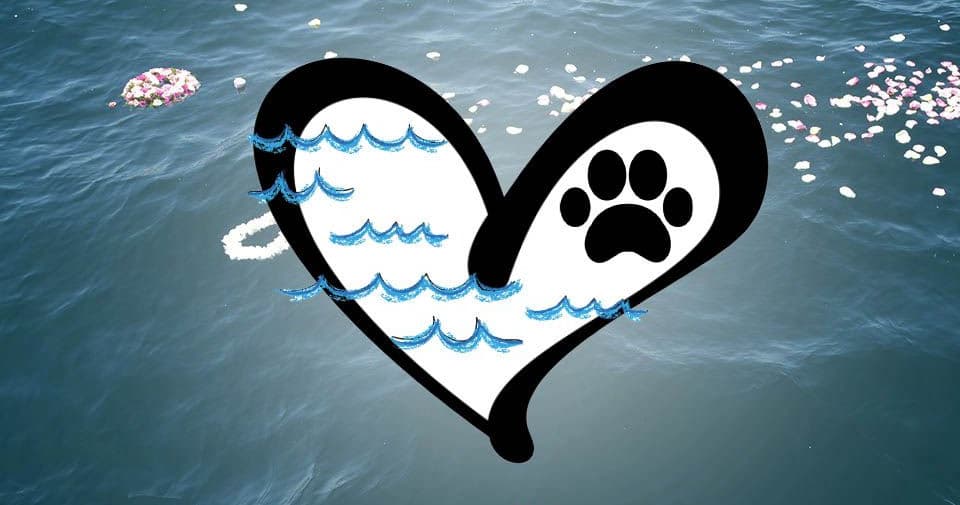 Ocean-themed heart logo with paw print over blue water surface