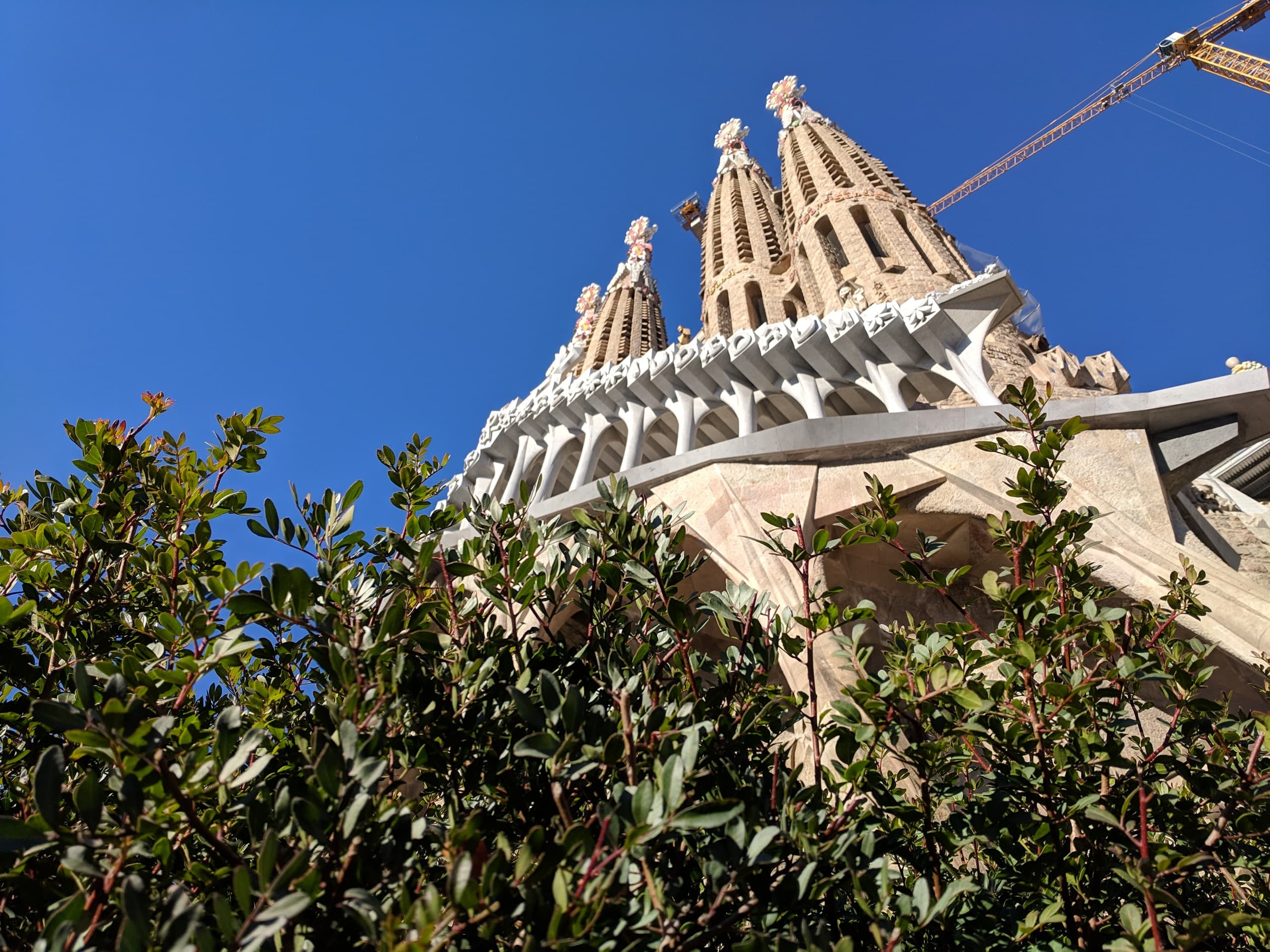 Exclusive Sagrada Familia Semi-Private Tour: Skip-the-Line Guided Visit in Barcelona