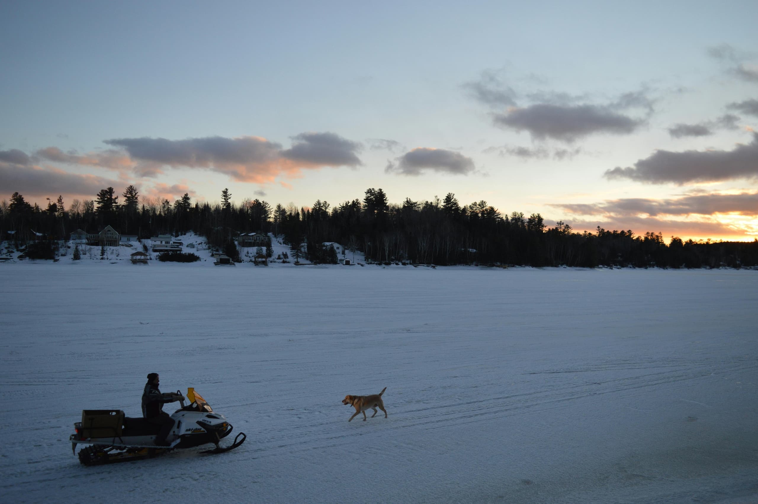 Winter Wildlife & Aurora Search with Aavasaksa Adventures