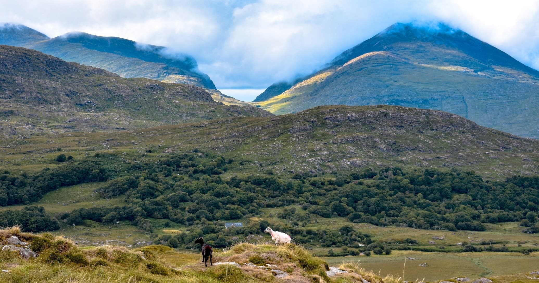 Land Adventures in Killarney with Killarney Day Tours