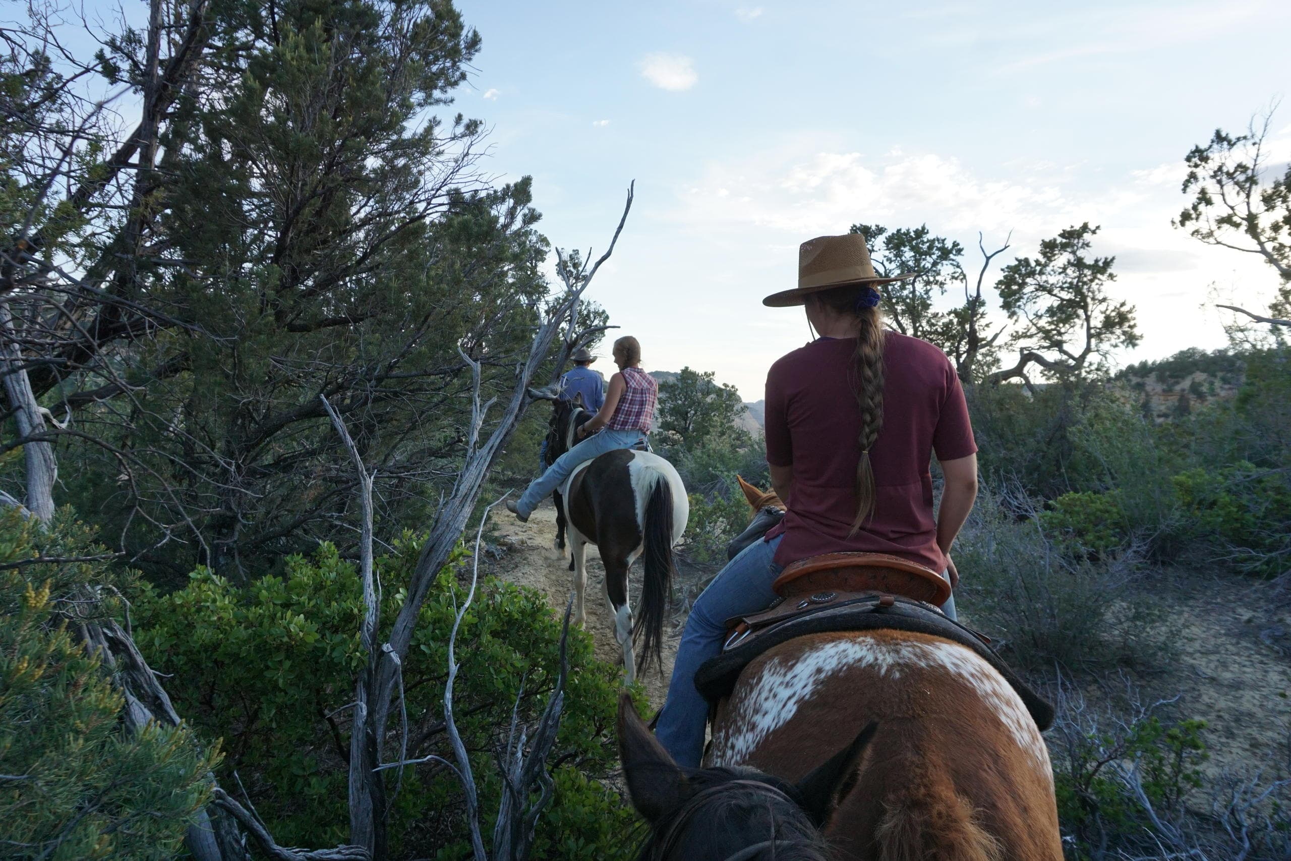 Mountain Goat Ride Adventure in Mount Carmel, Utah