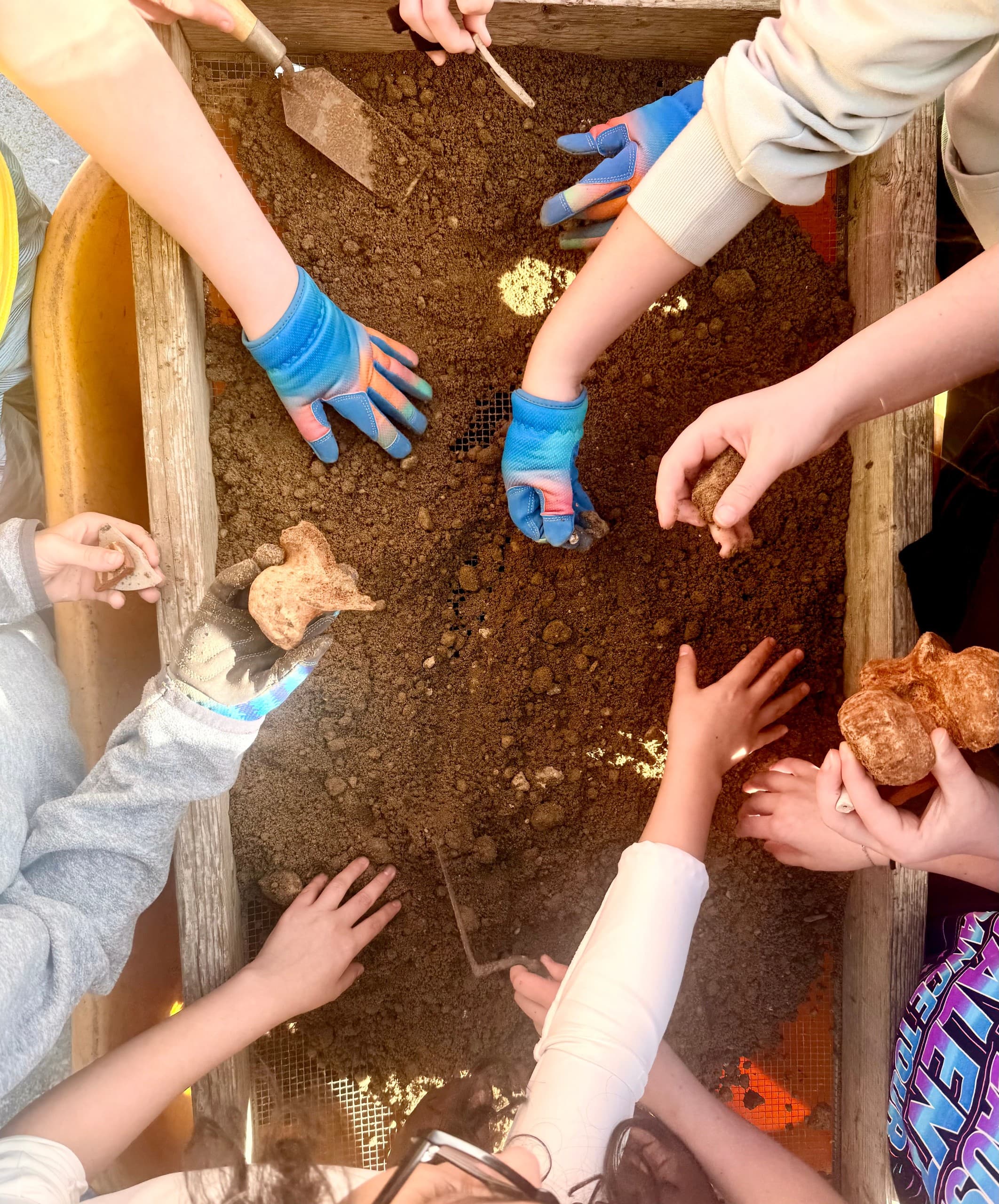 Junior Archaeologists at Drayton Hall — Hands-On Archaeology for Kids in Charleston