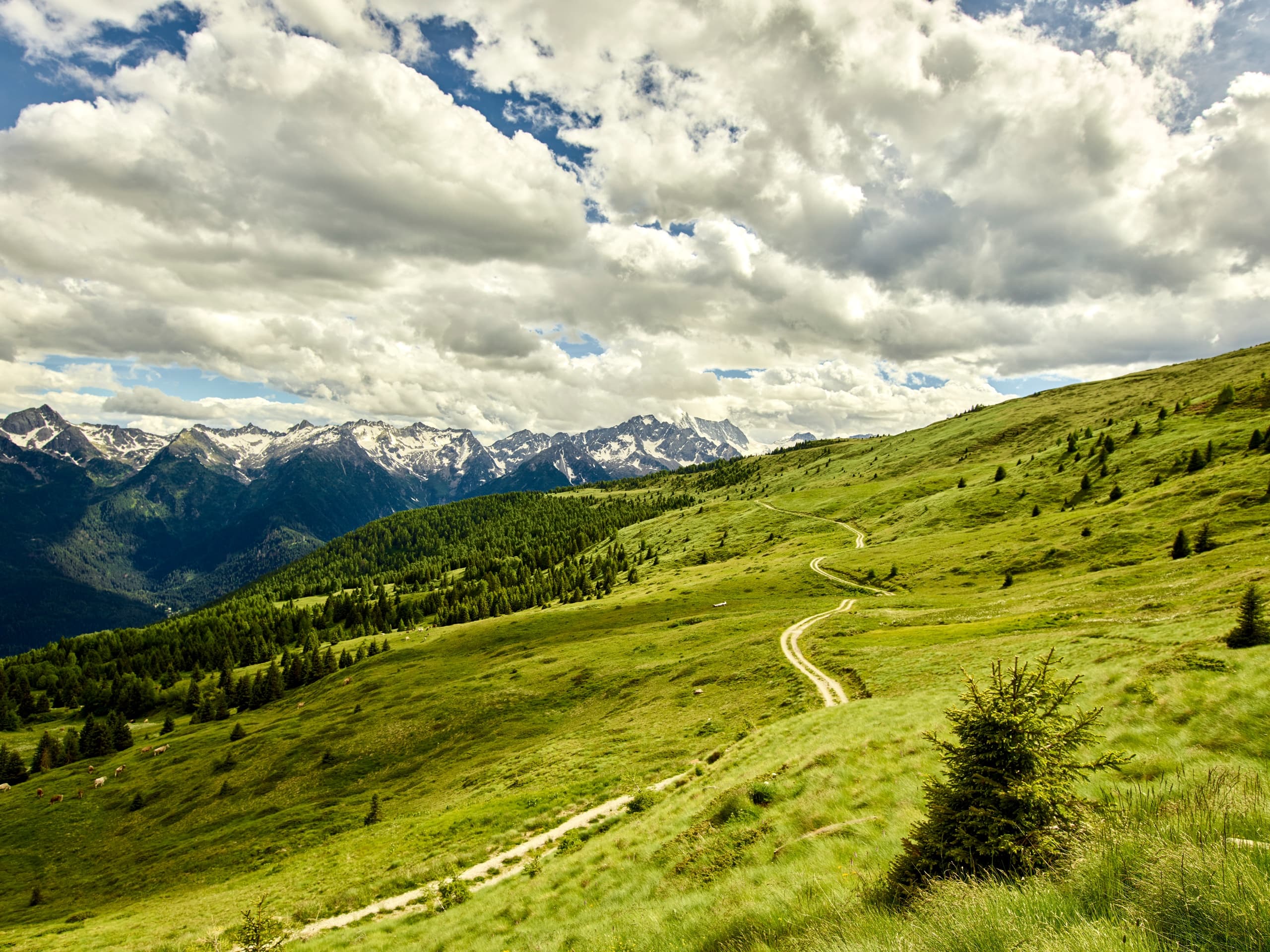 Hiking Adventure at Andar per Monti in Val di Sole