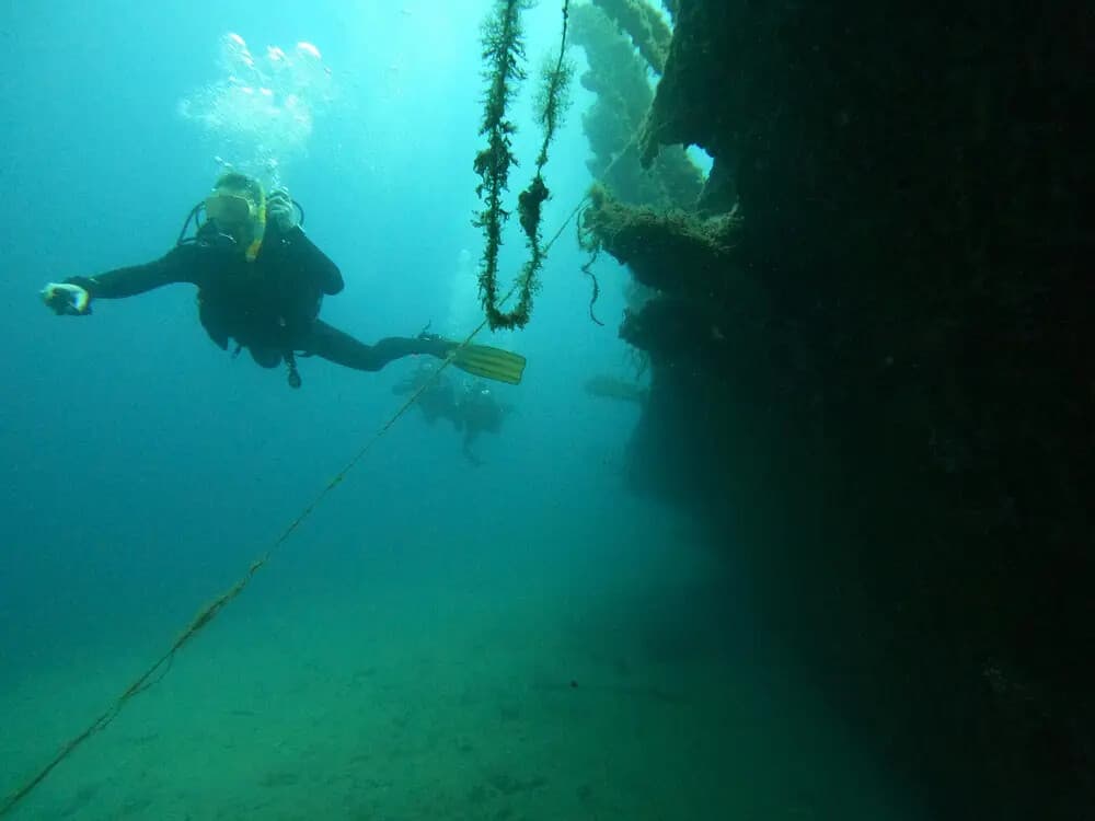 Marathon Cape: Certified Dive Adventures off Nea Makri photo 2
