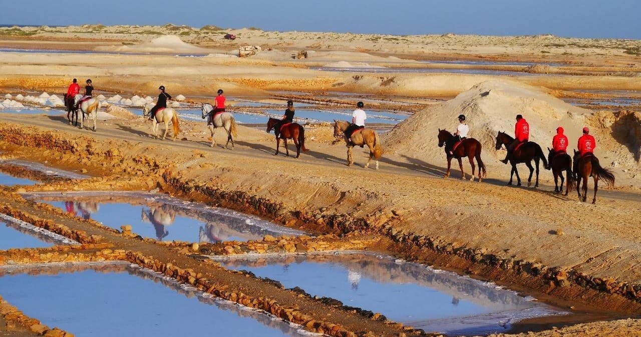 Horseback Riding at Salt Flats with Cabo Verde Tours in Santa Maria