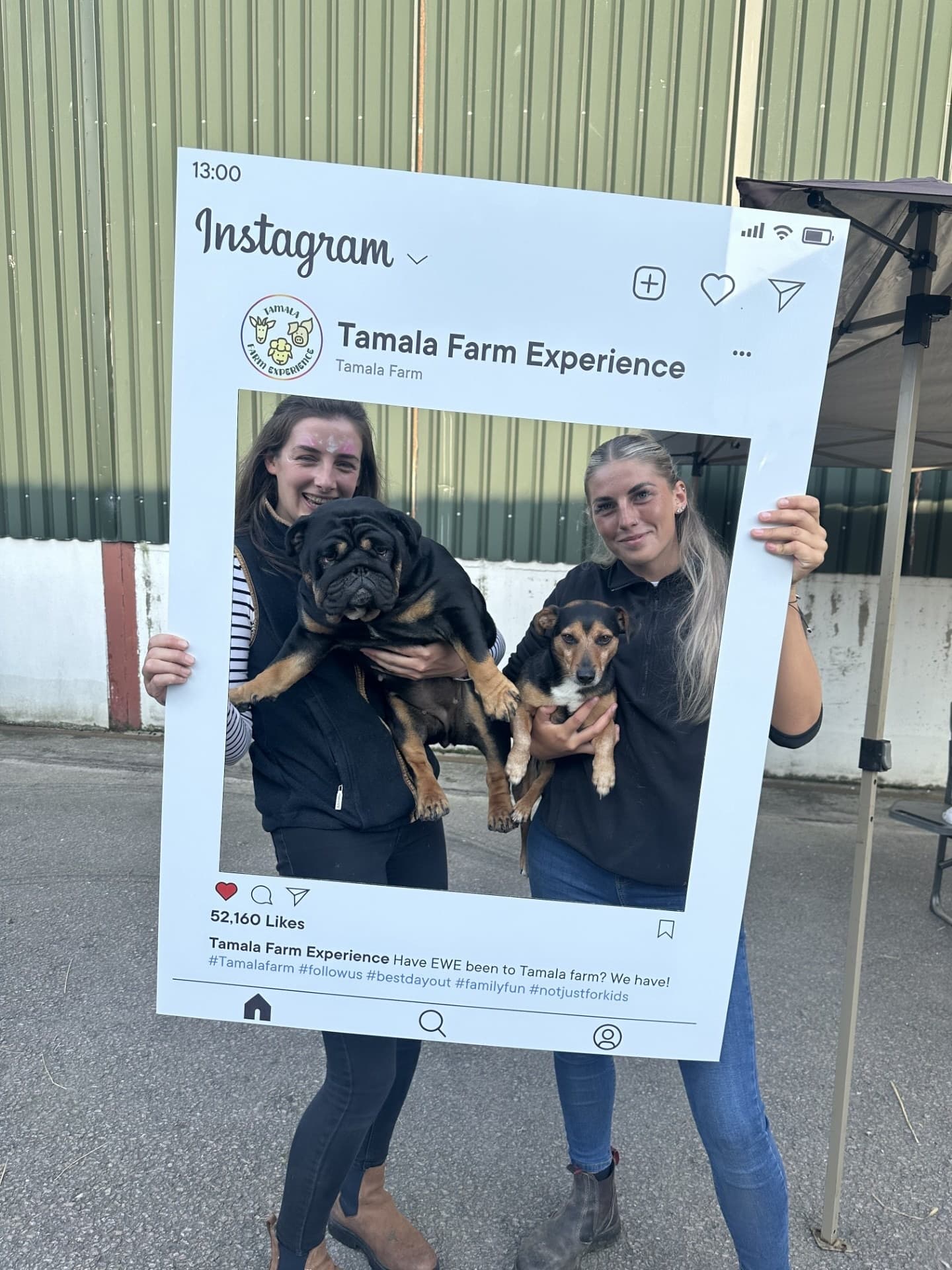 Two hosts posing with dogs in Instagram frame outside farm building