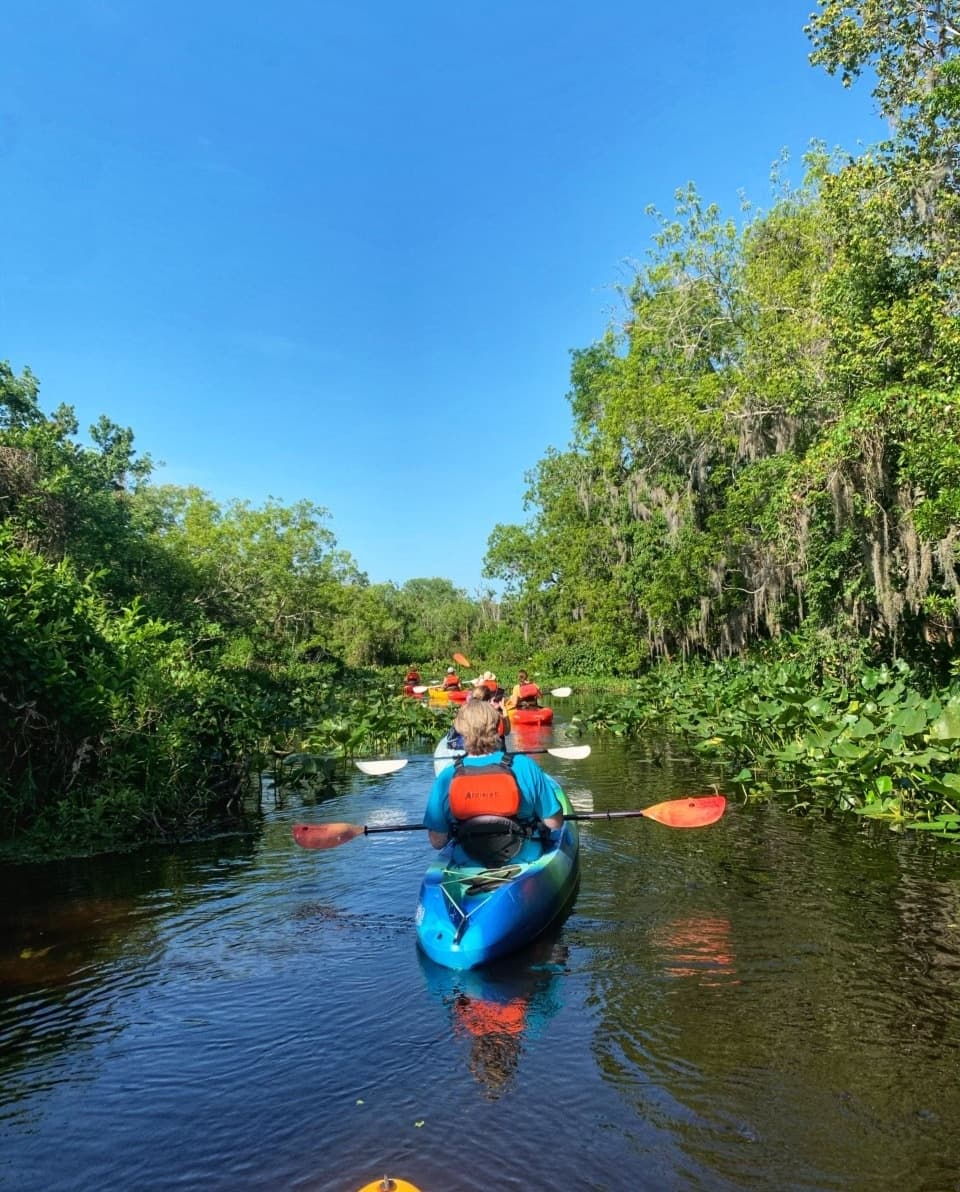 Guided Kayak Tour at Blue Spring in Orange City