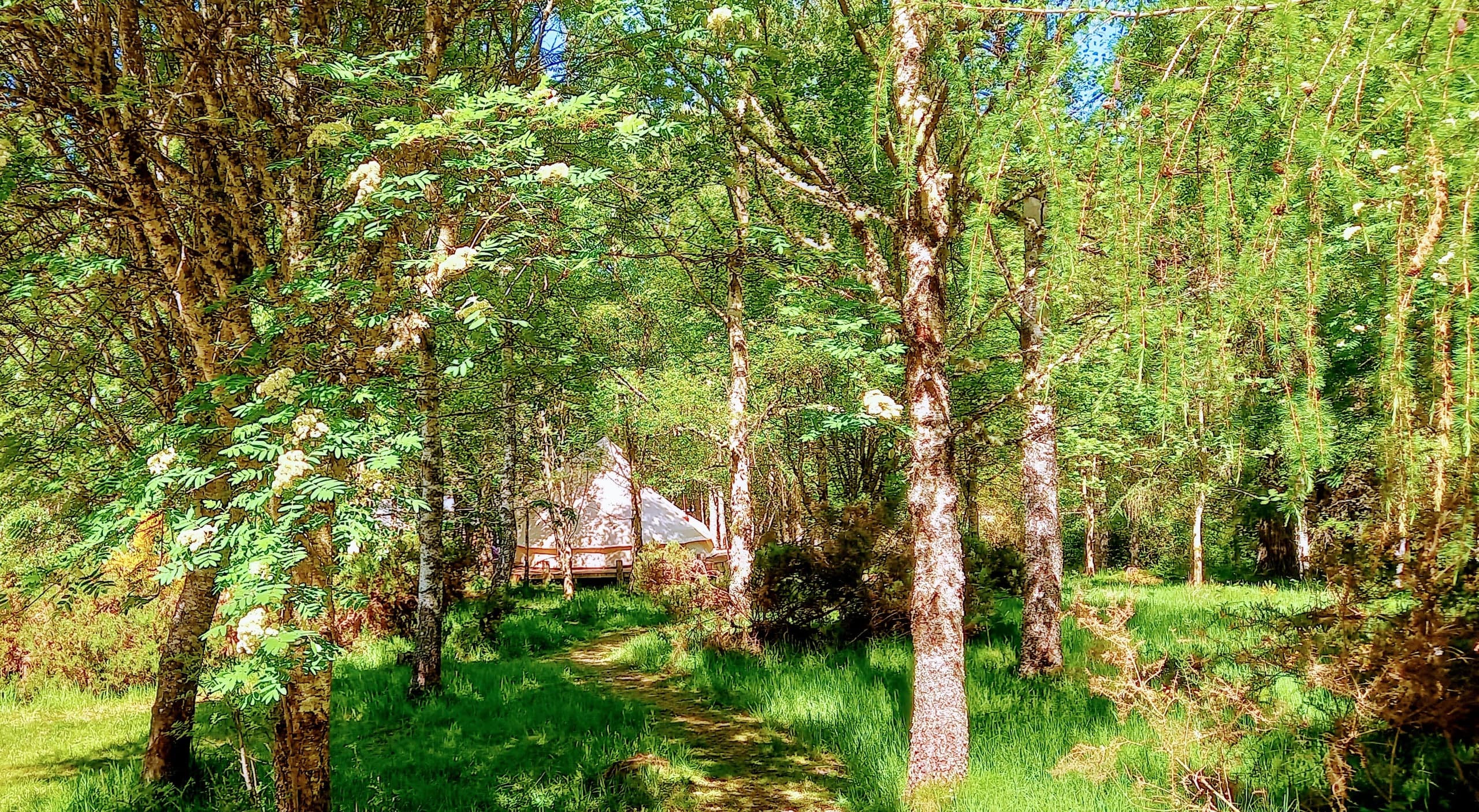 Bell Tent Stays with Ace Adventure Ltd in Dunphail