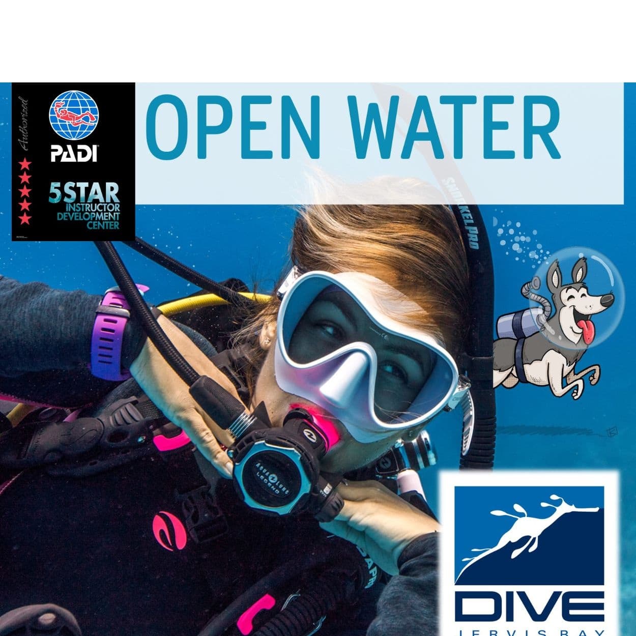 Scuba Diving Experience at Jervis Bay Sea Sports