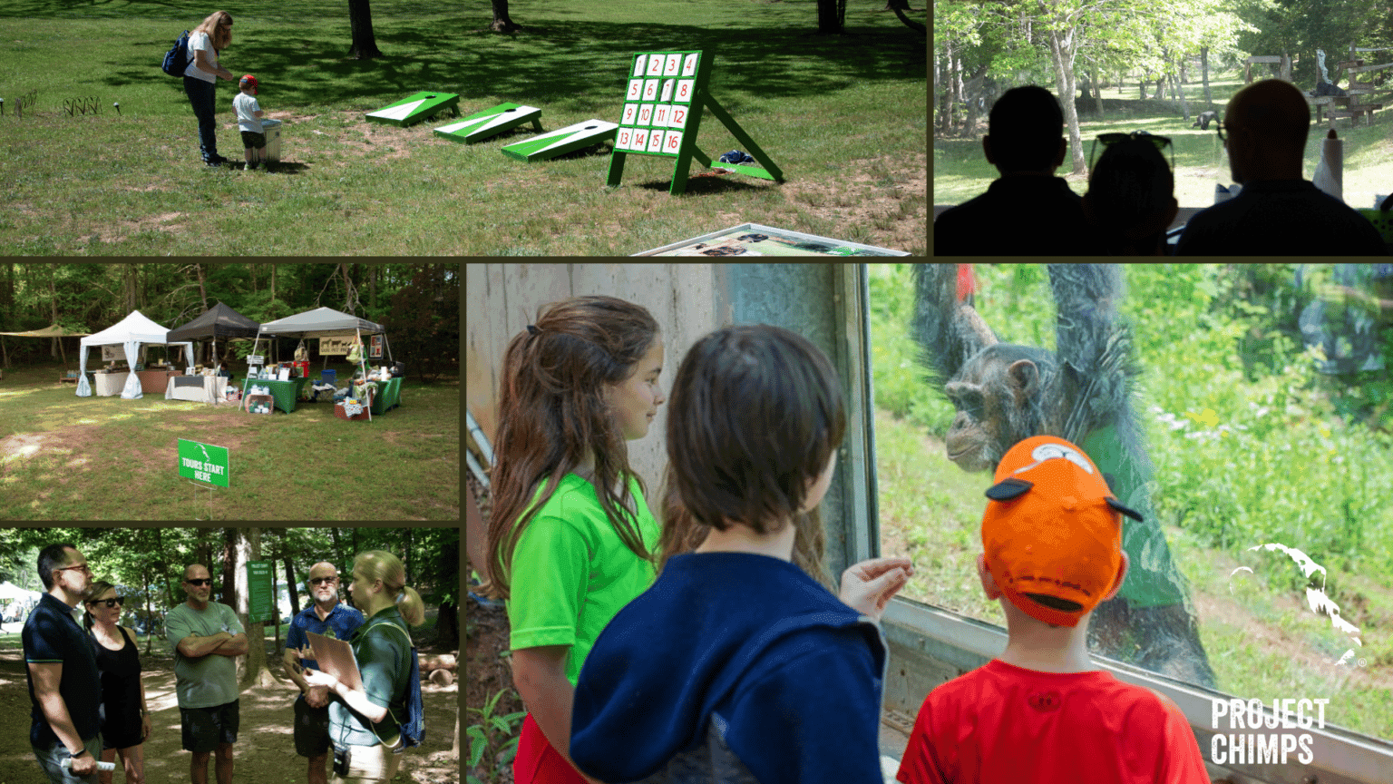 Discovery Days: Meet Rescued Chimpanzees in the Blue Ridge Mountains