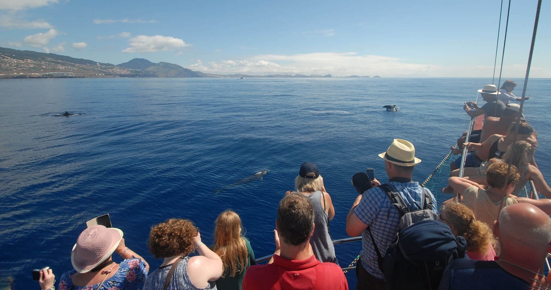 Desertas Island Adventure with Madeira Happy Tours