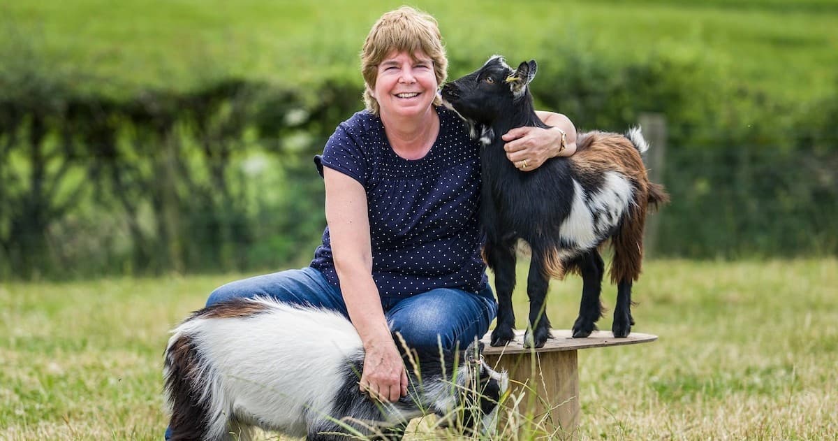Land Adventures at Balgownie Mains: Farm Tour Experience
