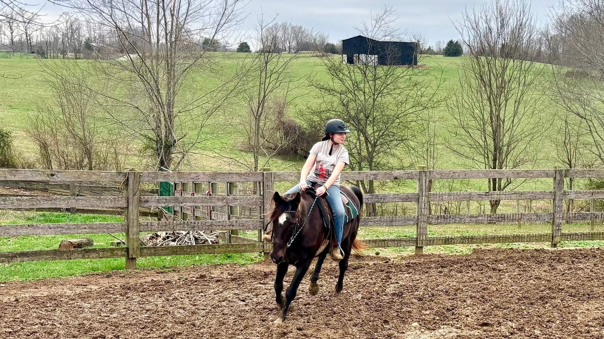 Two-Hour Western Horsemanship Lessons in Park City, KY photo 2