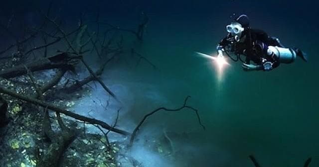 Water Activities: Aquanauts Dive Adventures' Cenote Experience