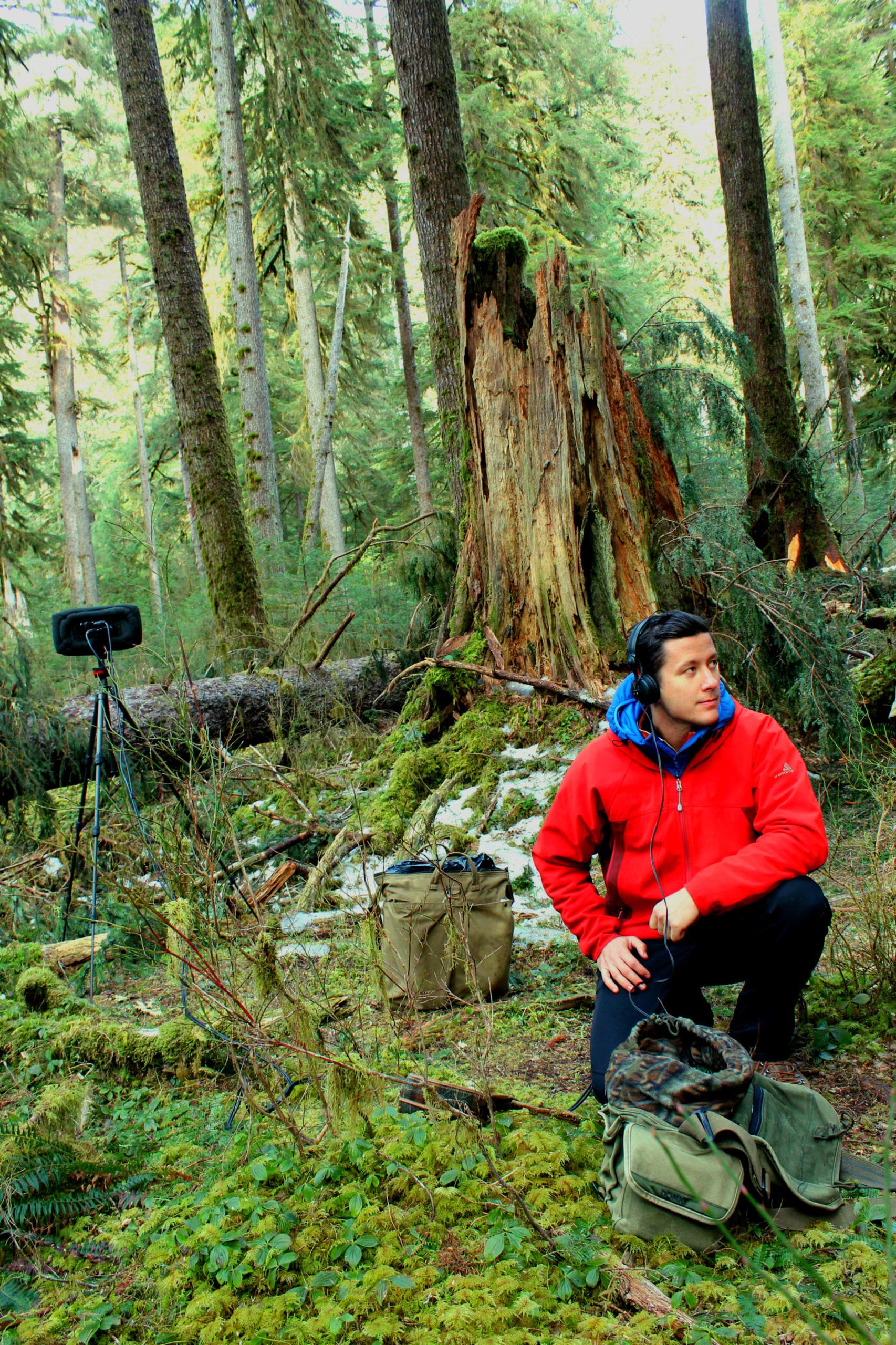 Vanishing Silence Hiking Experience in Olympic National Park