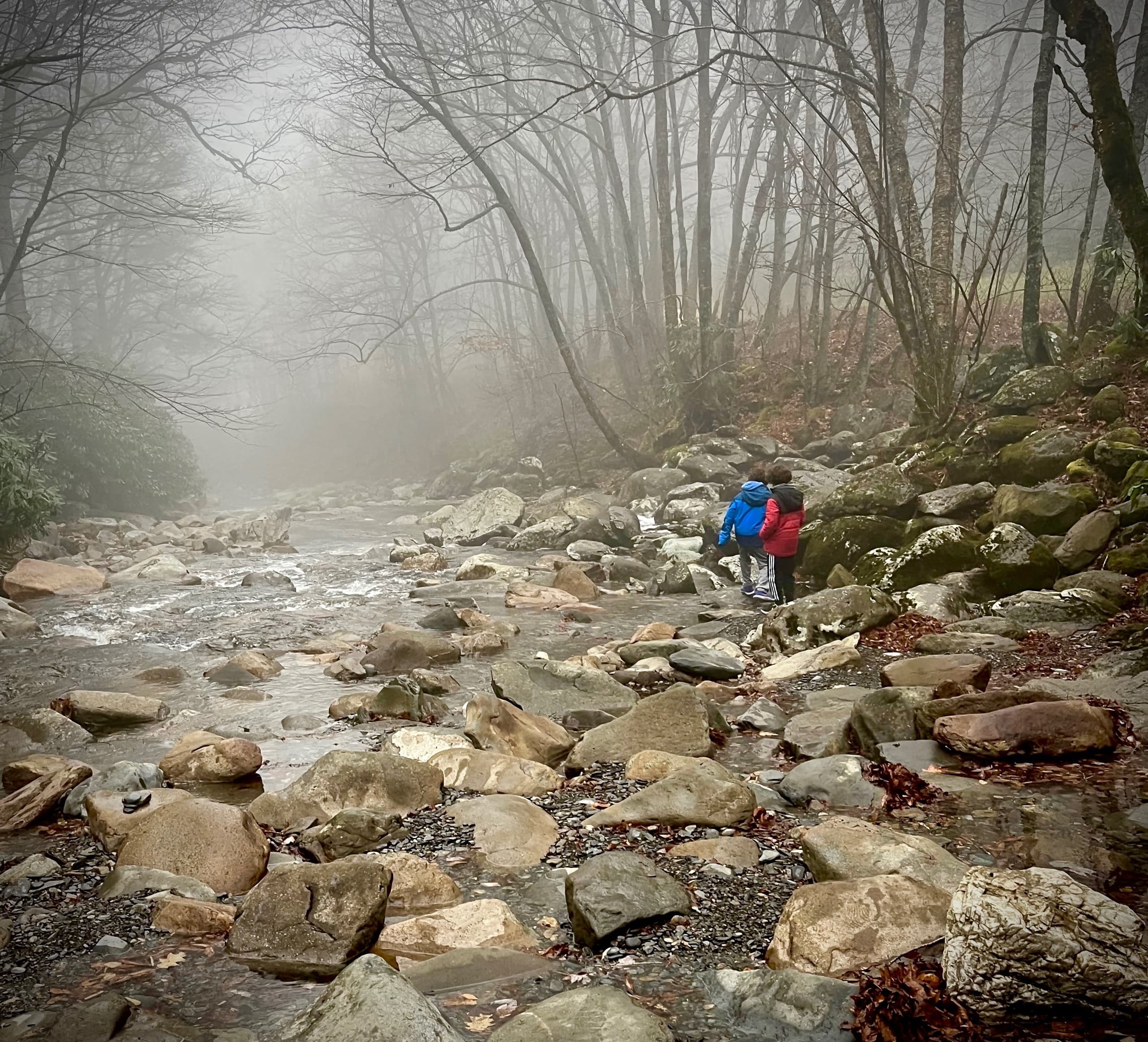 Nature Scavenger Hunt for Kids in Gatlinburg TN