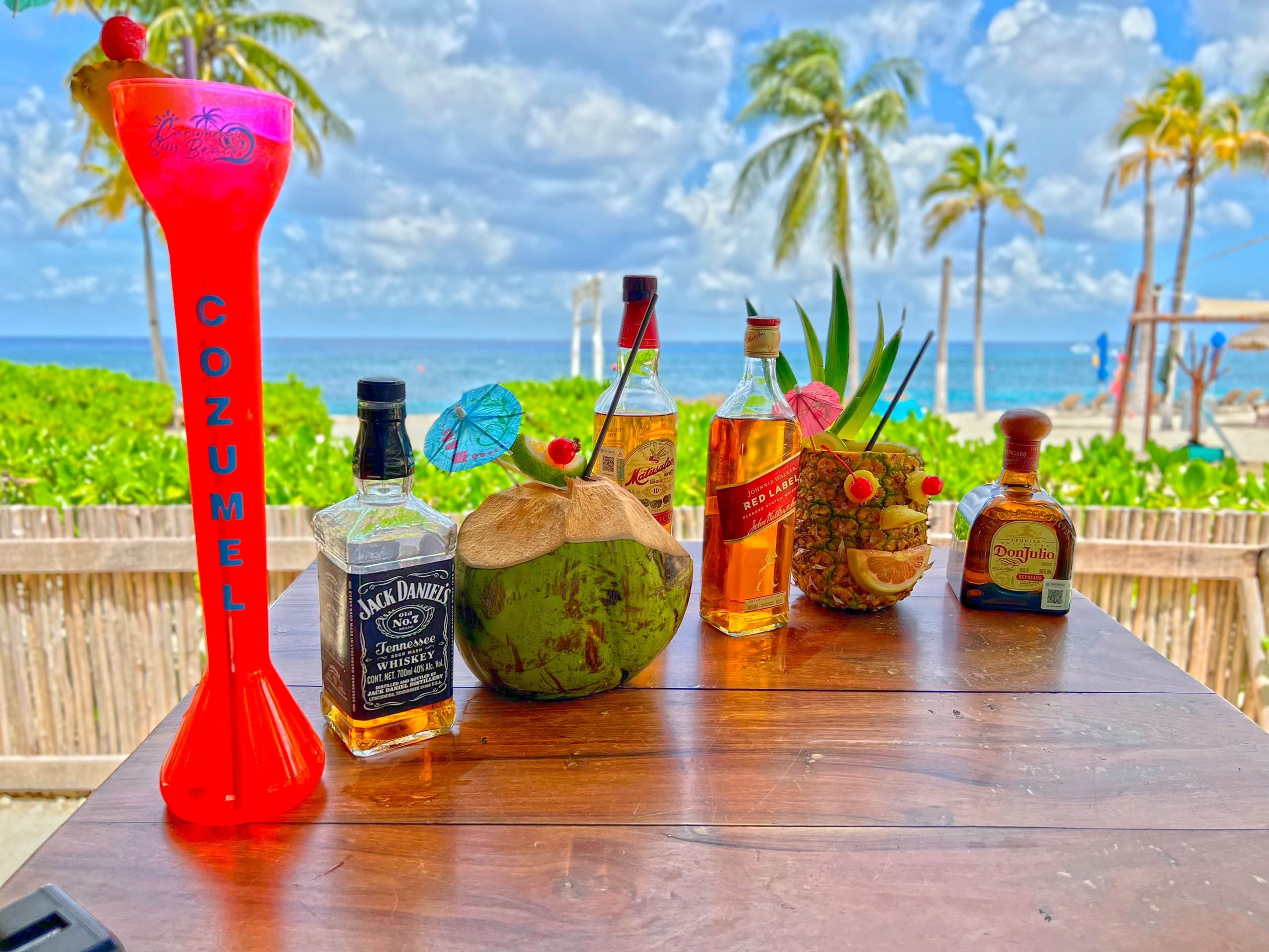 Cozumel Tours' Chankanaab Beach Adventure Day Pass