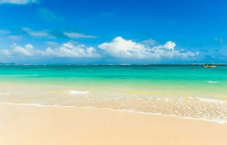 Tropical sandy beach in Hawaii with calm turquoise waters for swimming