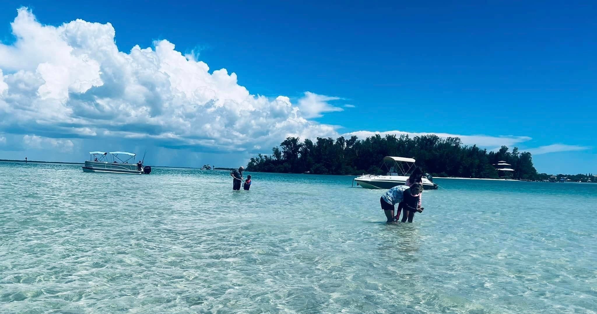Dolphin & Sandbar Tour with Sweet Sunsets & Dolphin Tours in North Port