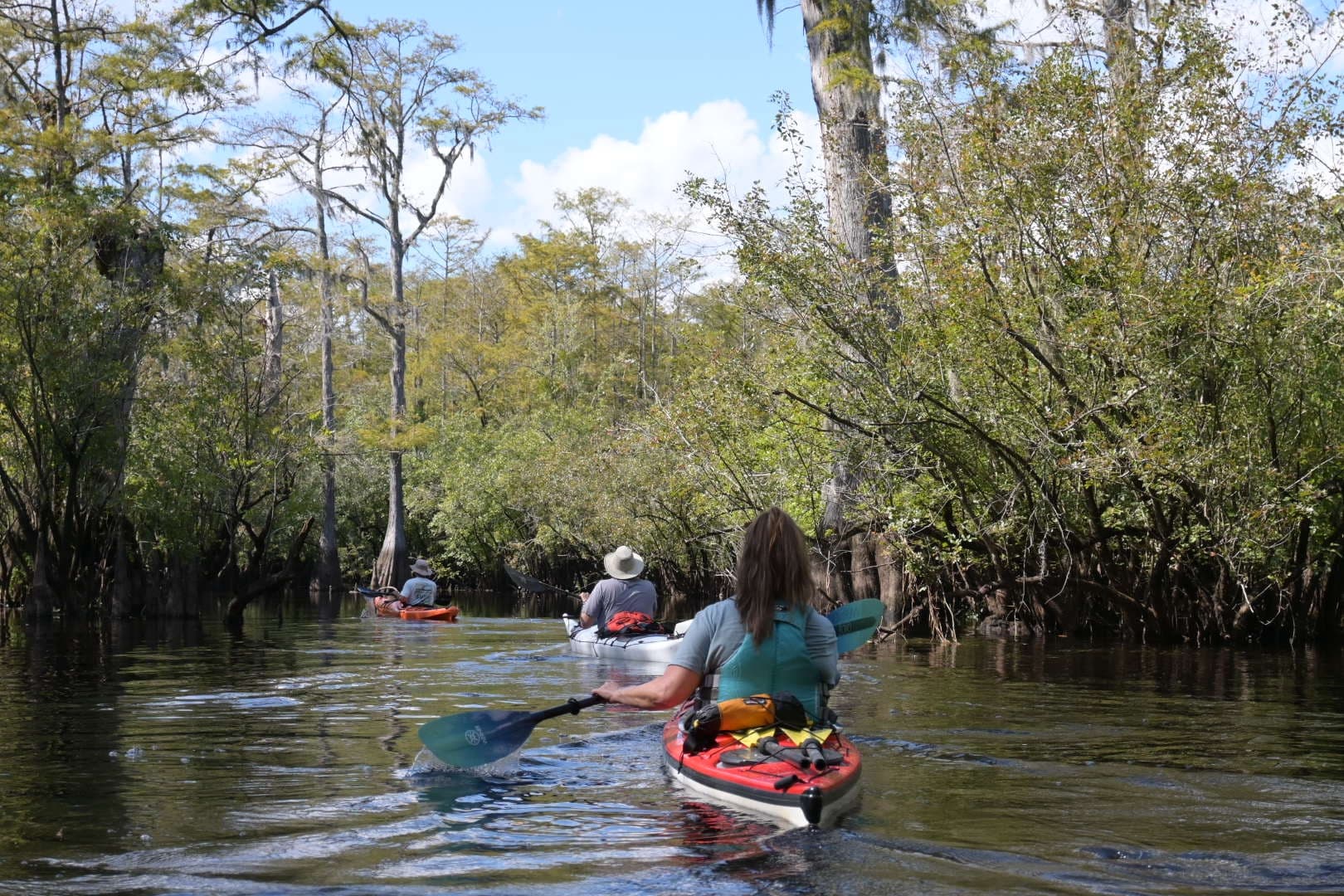 Explore North Carolina’s Black River on a Guided Kayak Adventure Through Ancient Cypress Swamps