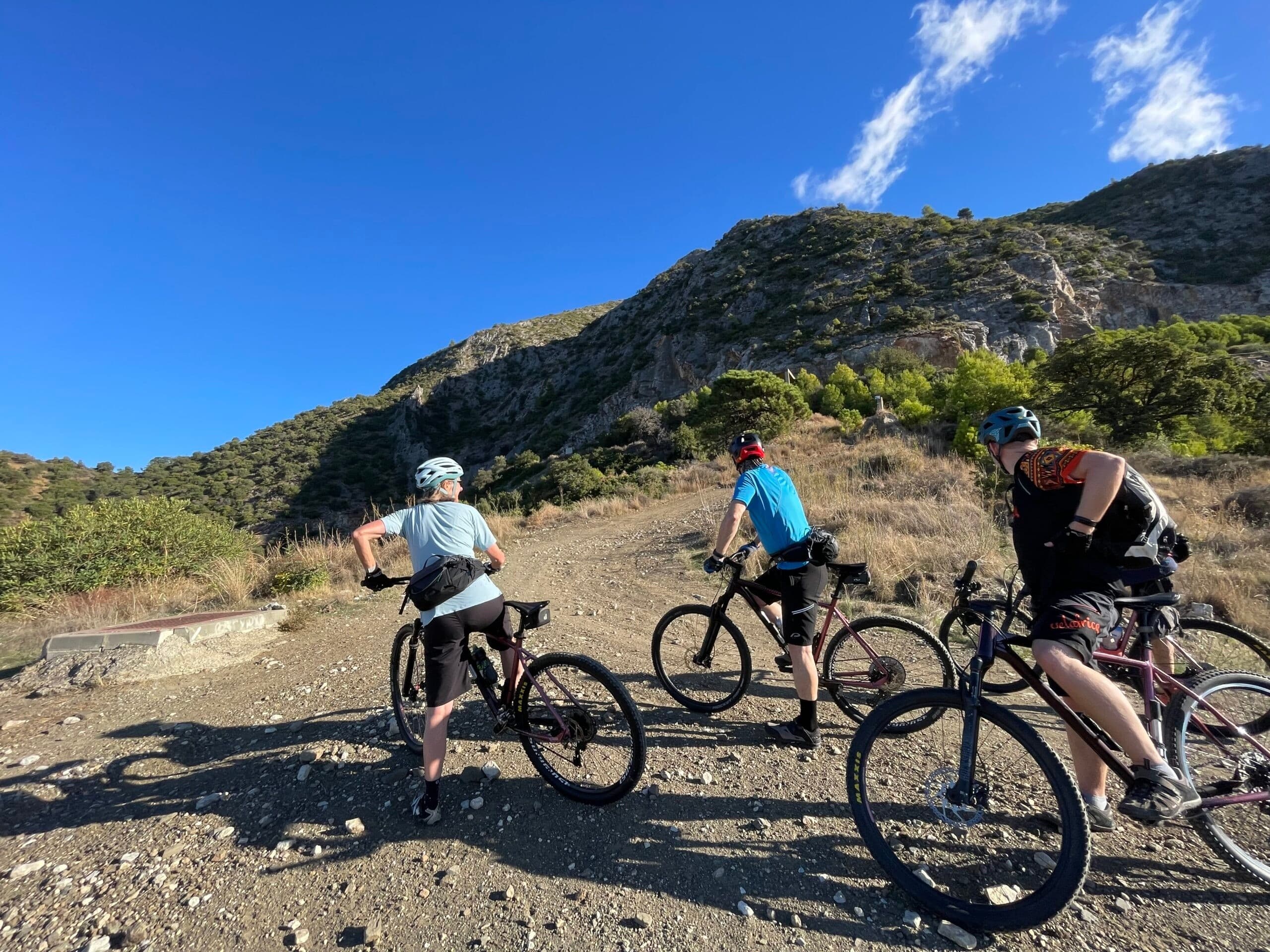 MTB Málaga: Senderos de Bosque — 3-Hour Forest Bike Tour Above the Costa del Sol photo 1