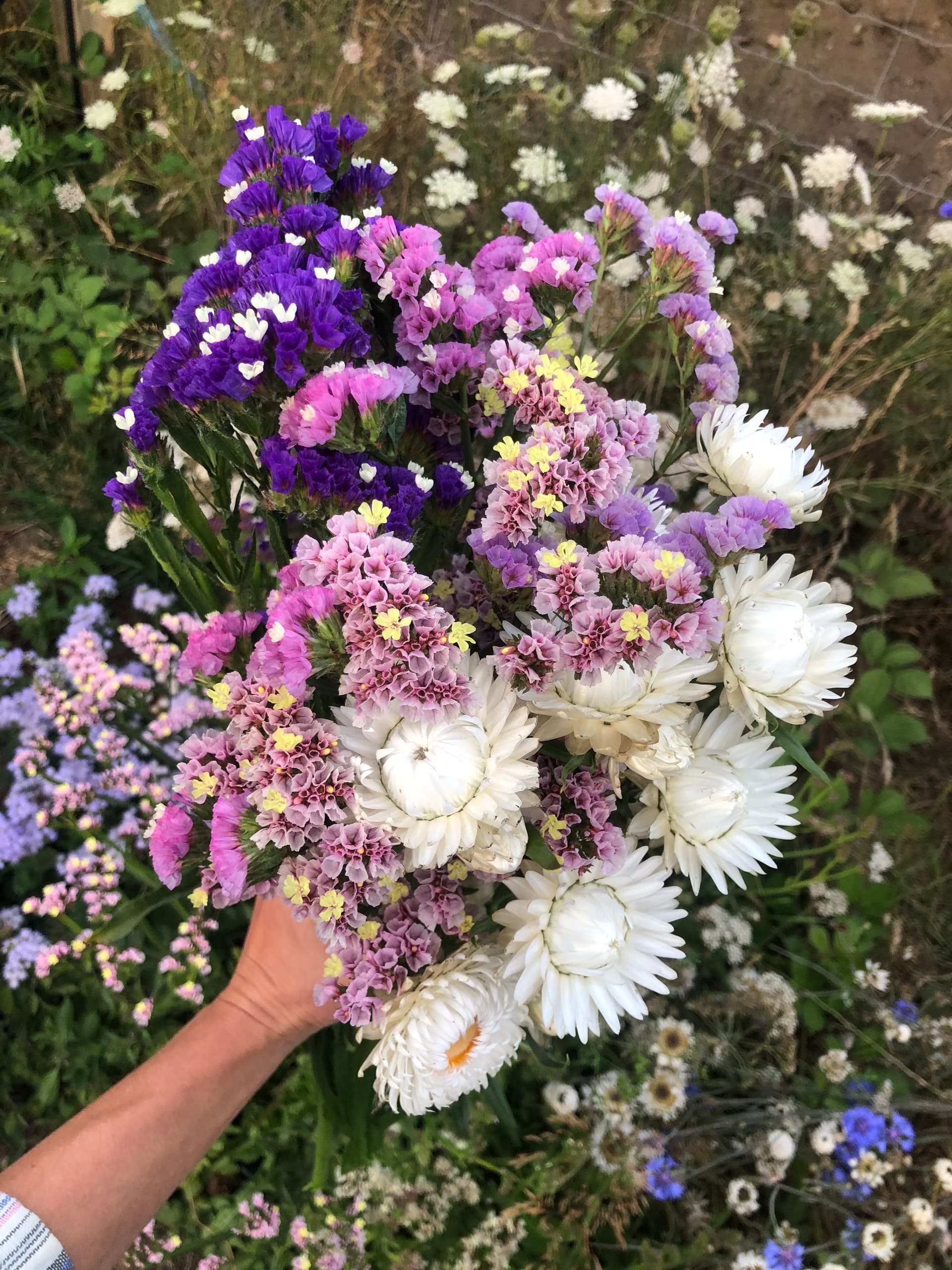 Flower Arranging Workshop at Raven Rock Farm - Dried Flowers