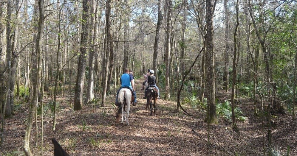 Guided Horseback Ride with Just Horse'n Around in Florida