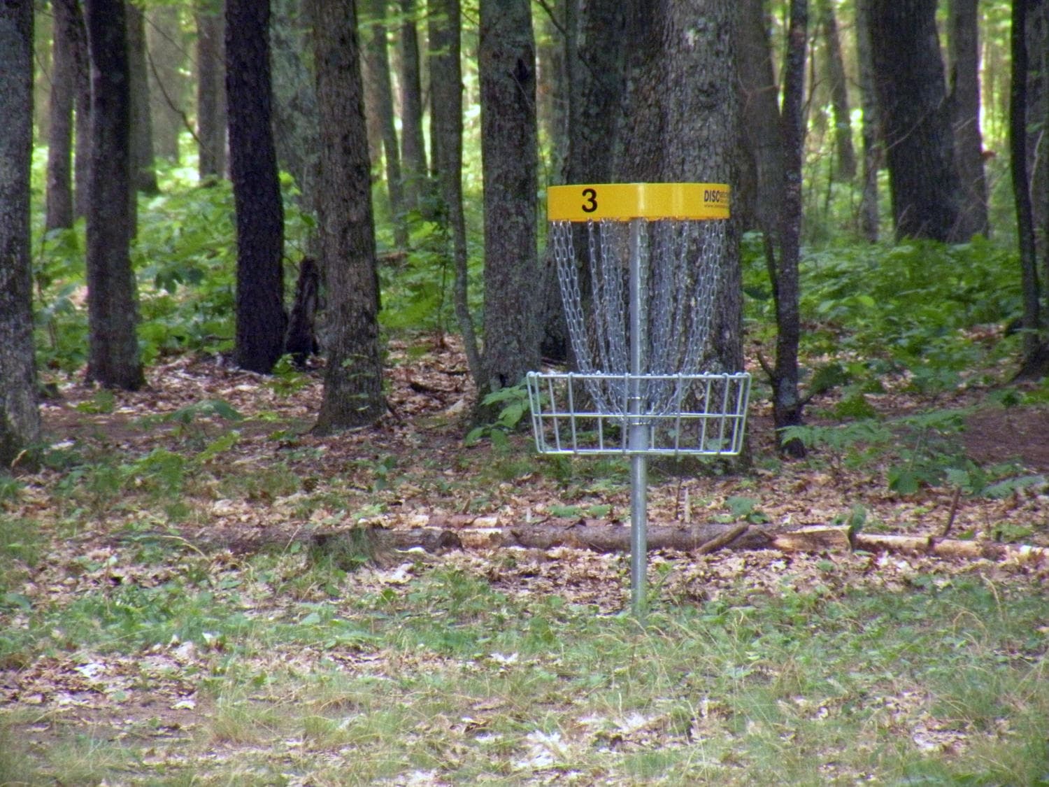 Explore Disc Golf Adventure in Benton, Tennessee