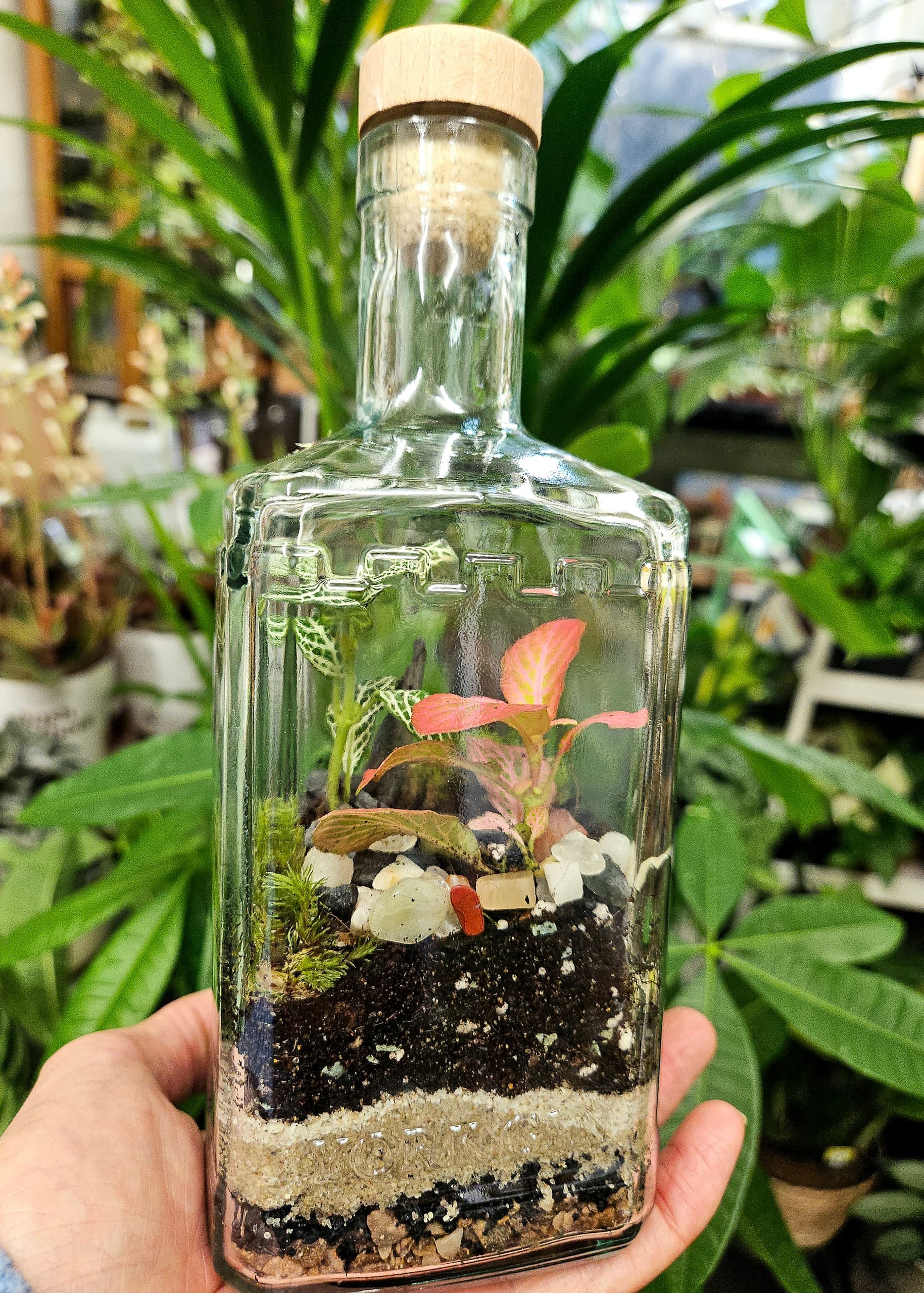 York Gin Bottle Terrarium Workshop: Build a Mini Tropical Garden with Alice photo 3